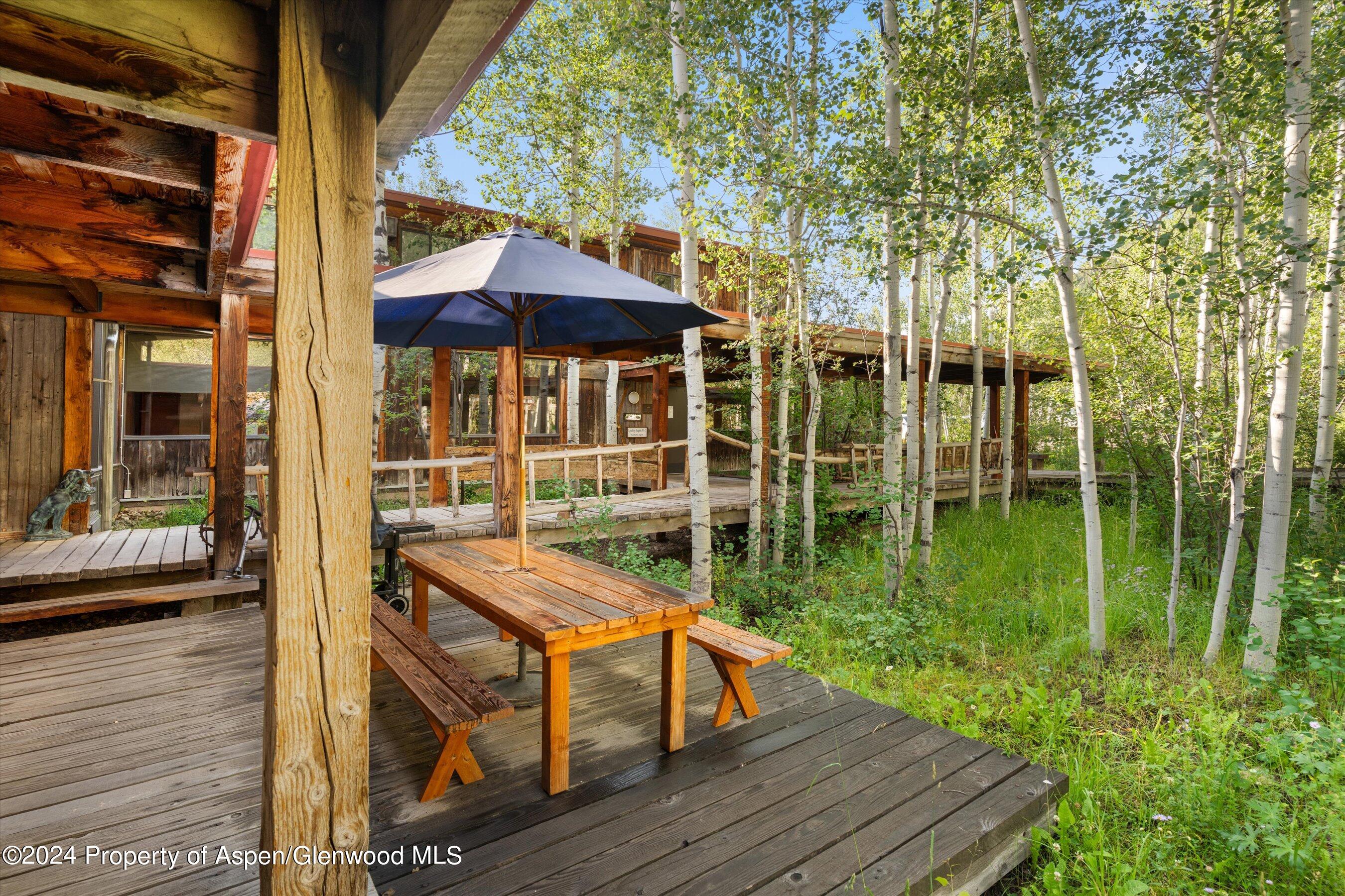 1280 Ute Avenue Aspen CO 81611