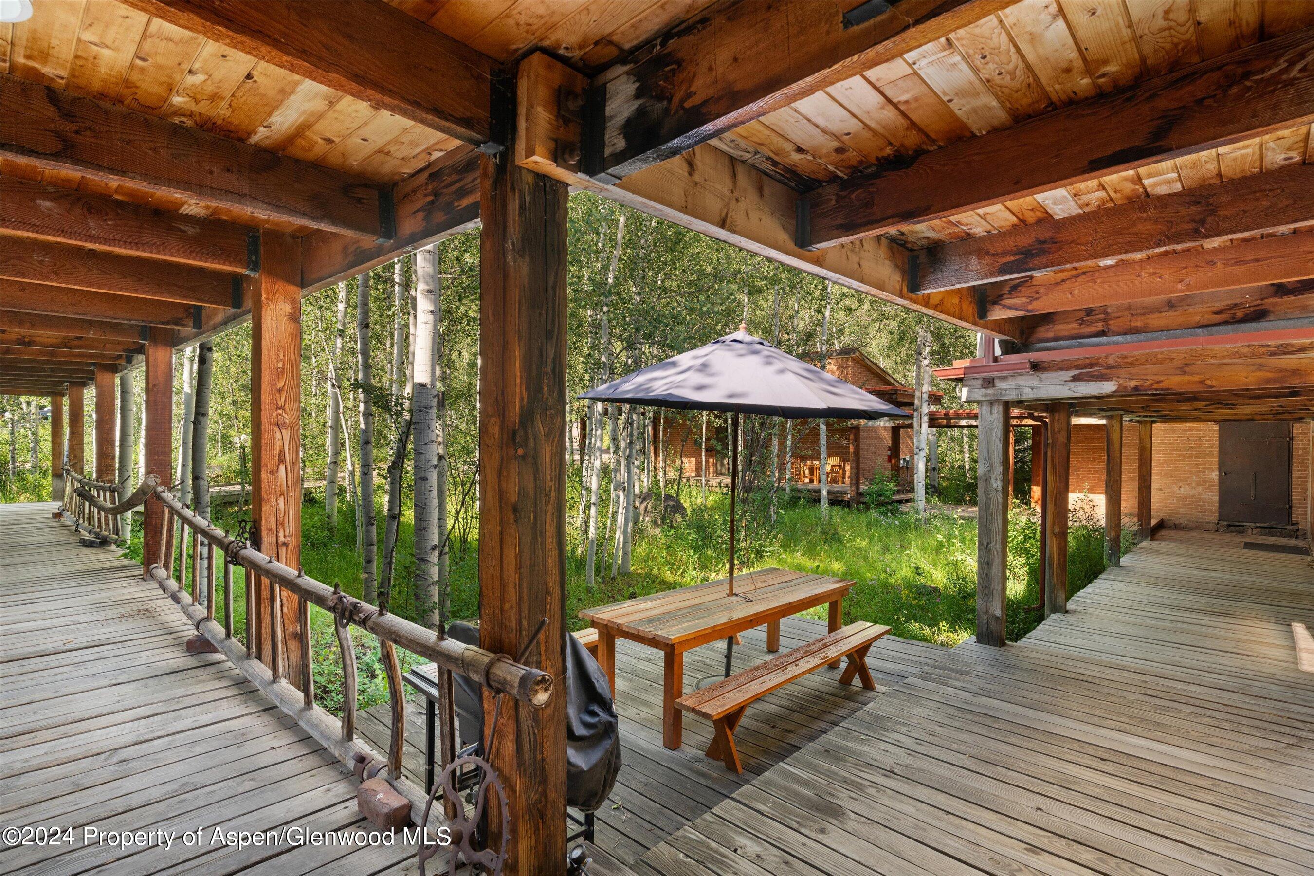 1280 Ute Avenue Aspen CO 81611