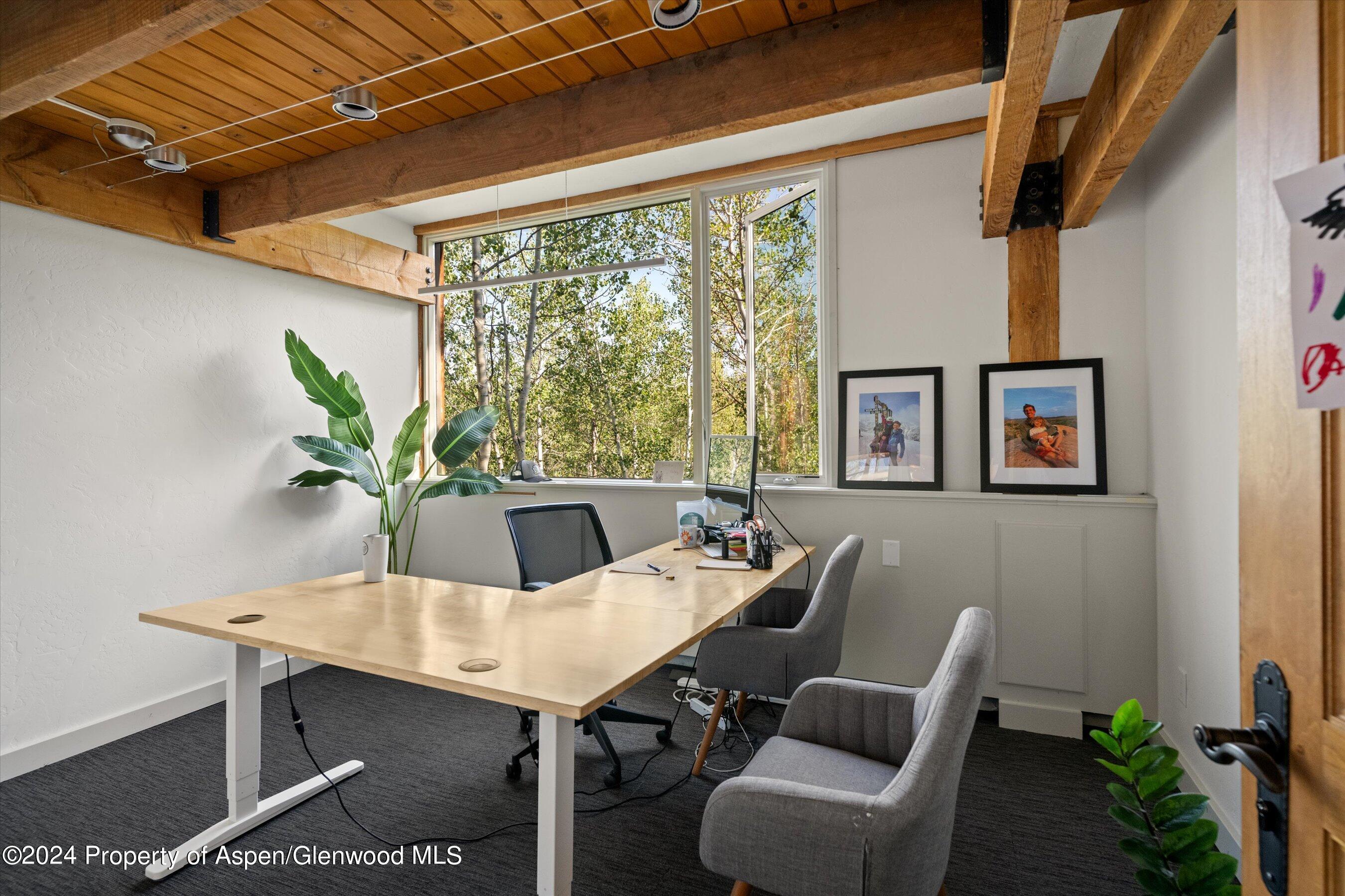 1280 Ute Avenue Aspen CO 81611