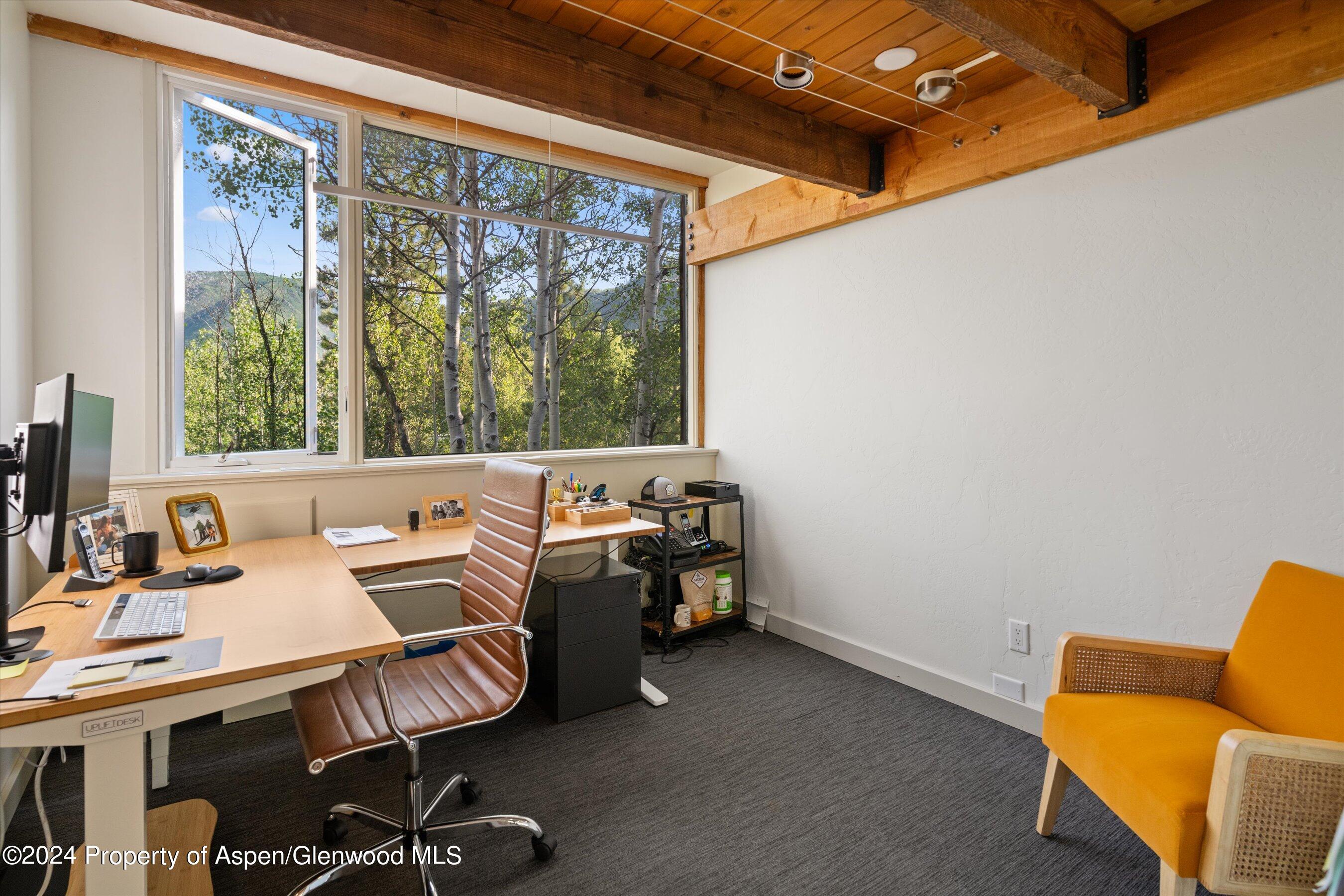 1280 Ute Avenue Aspen CO 81611