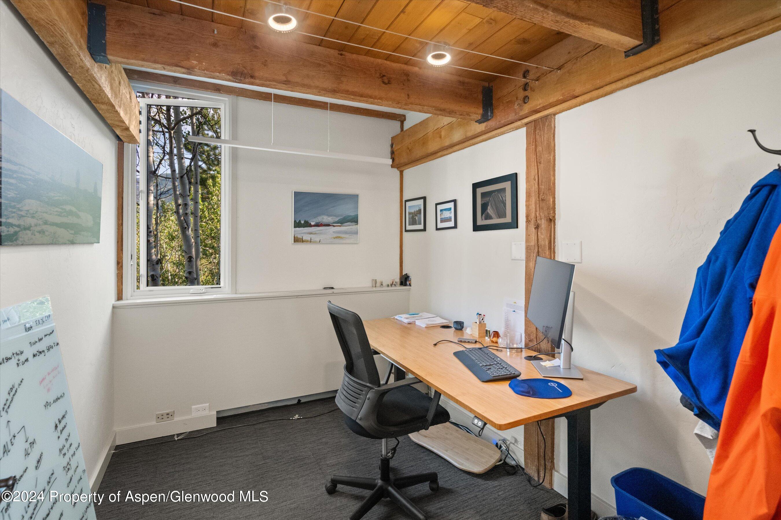 1280 Ute Avenue Aspen CO 81611