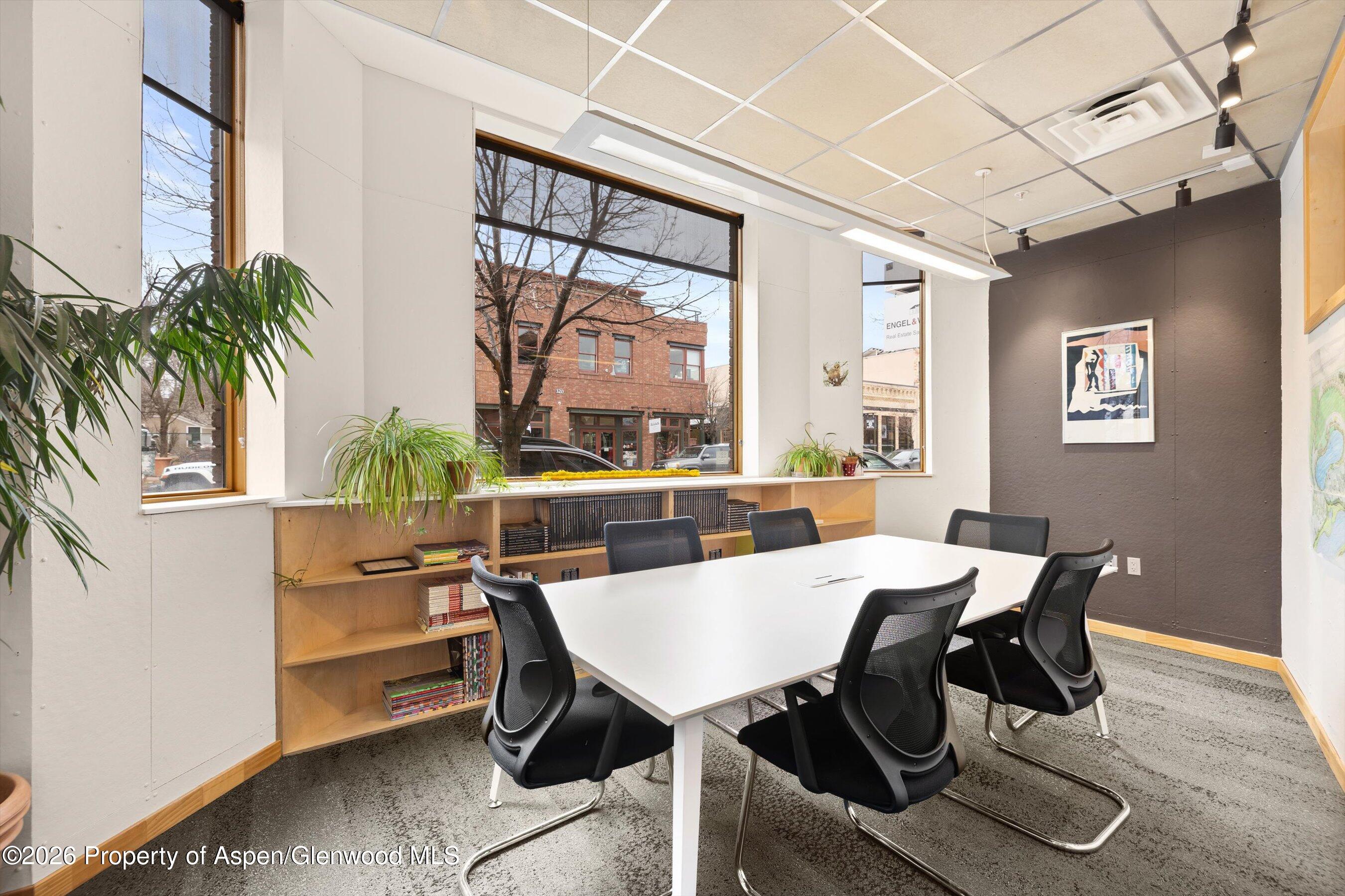 Carbondale CO, 311 Main Street, Unit 102