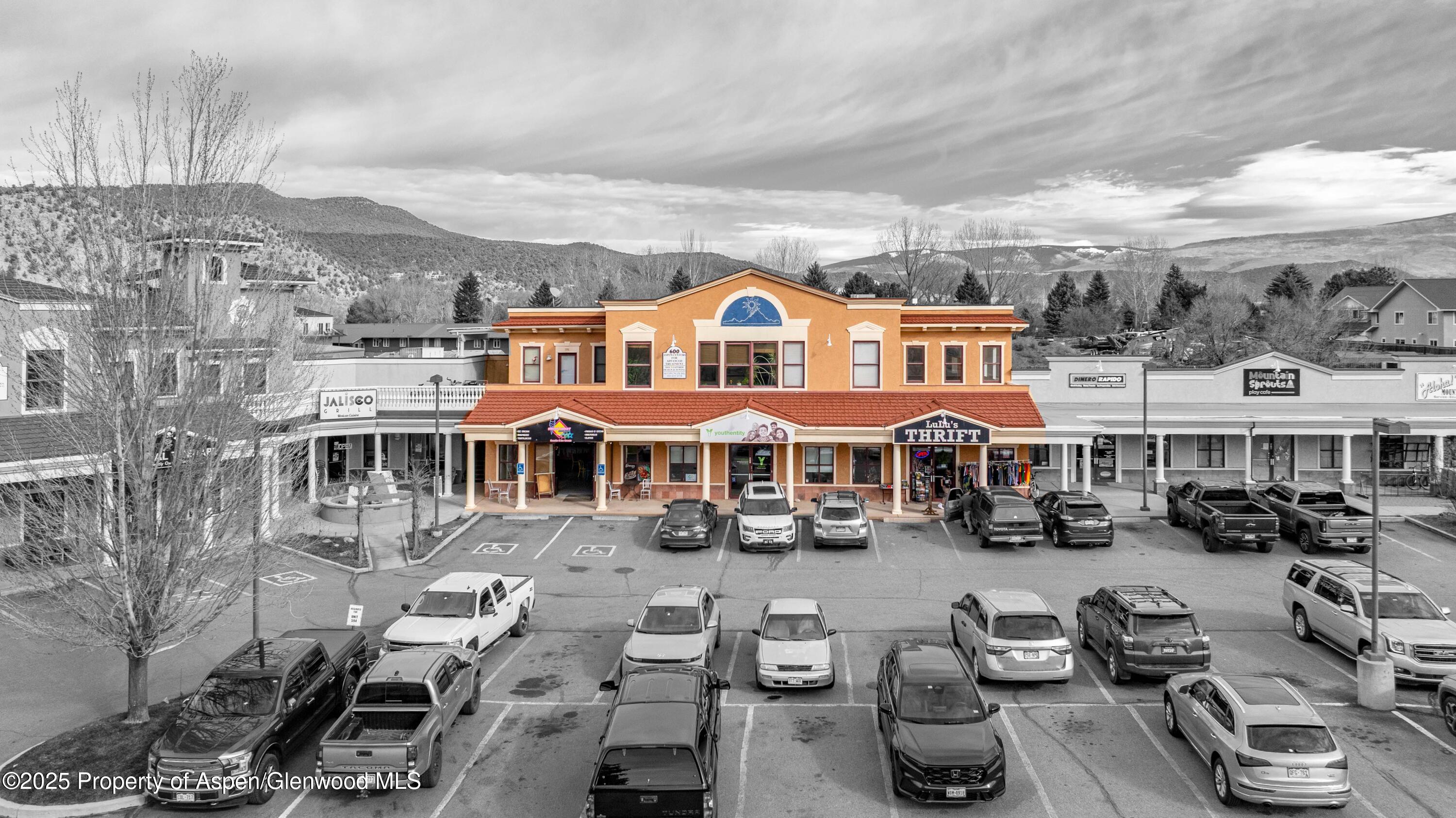 600 Co-133 Carbondale CO 81623