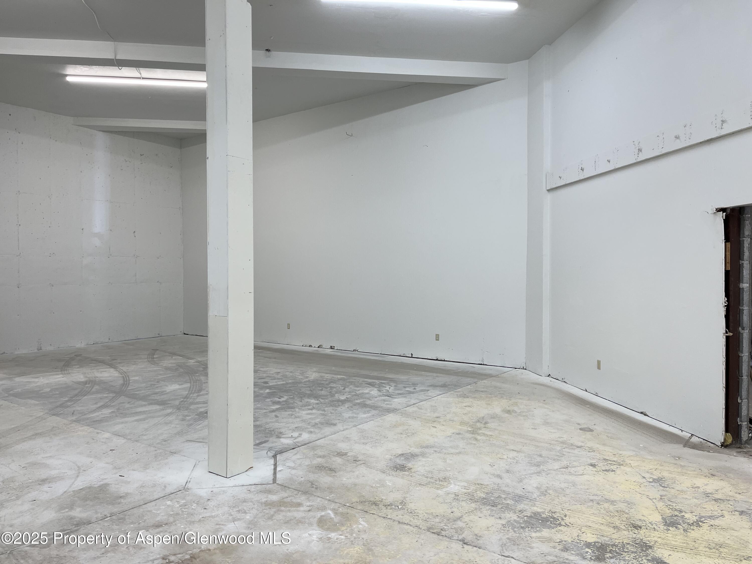 209 Ventnor Aspen CO 81611