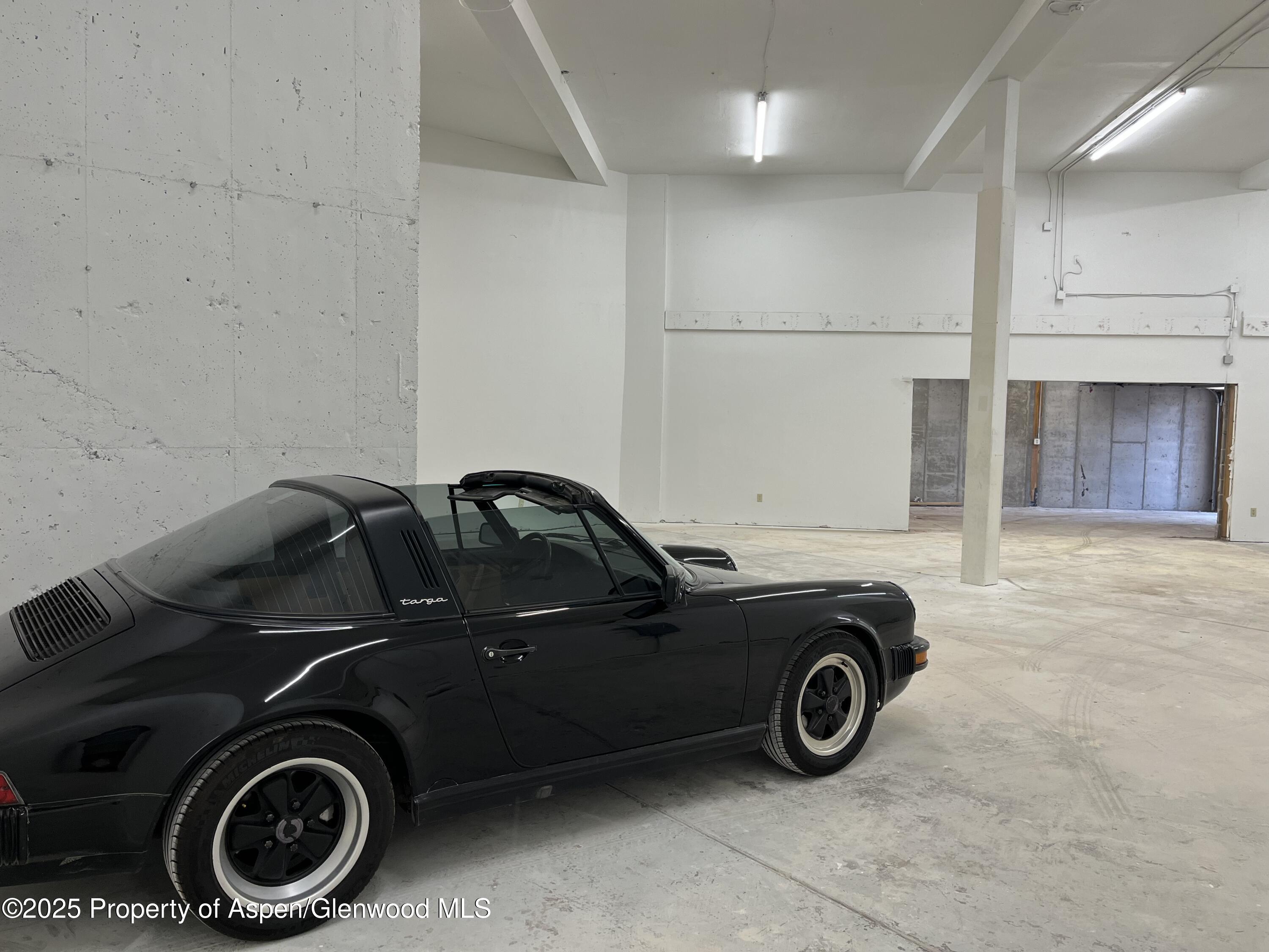 209 Ventnor Aspen CO 81611