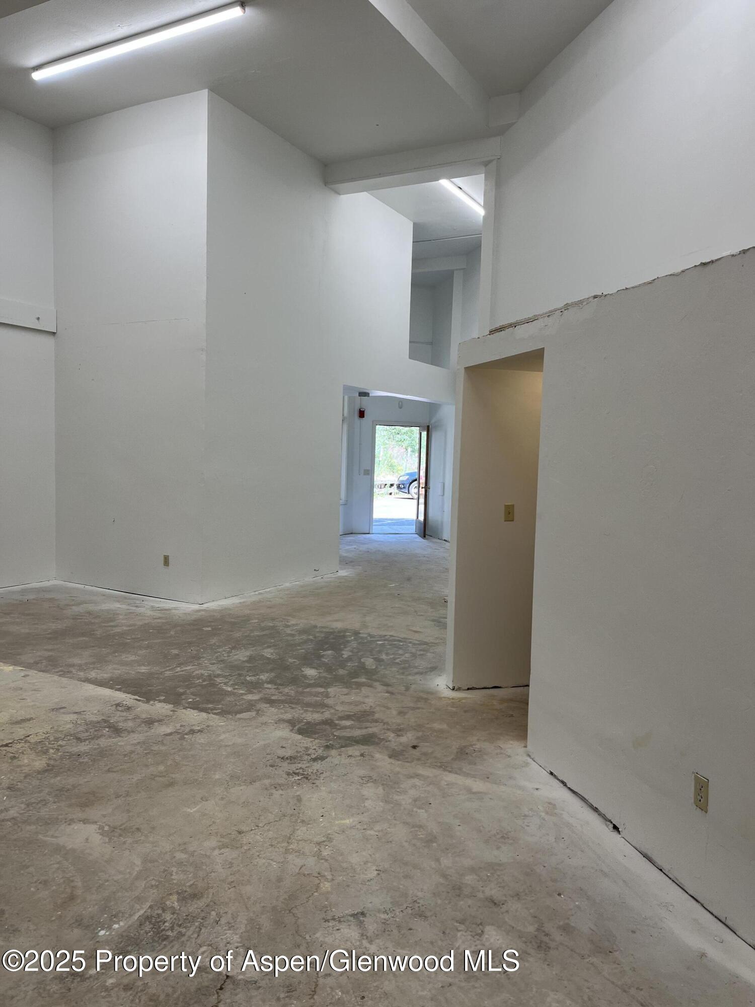 209 Ventnor Aspen CO 81611