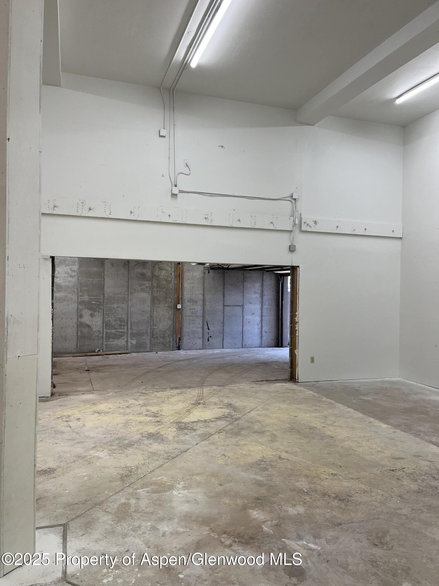 209 Ventnor Aspen CO 81611