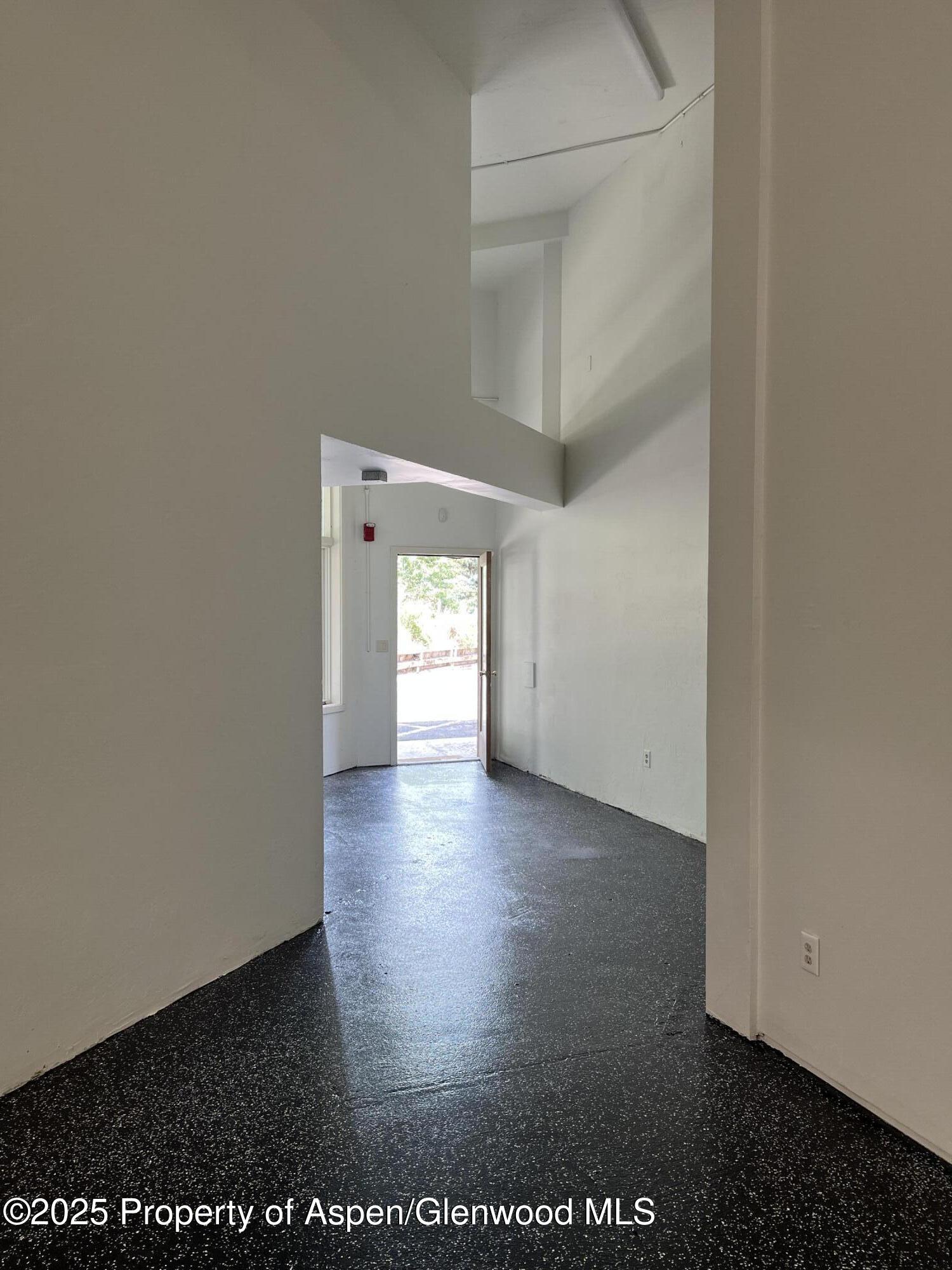 209 Ventnor Aspen CO 81611