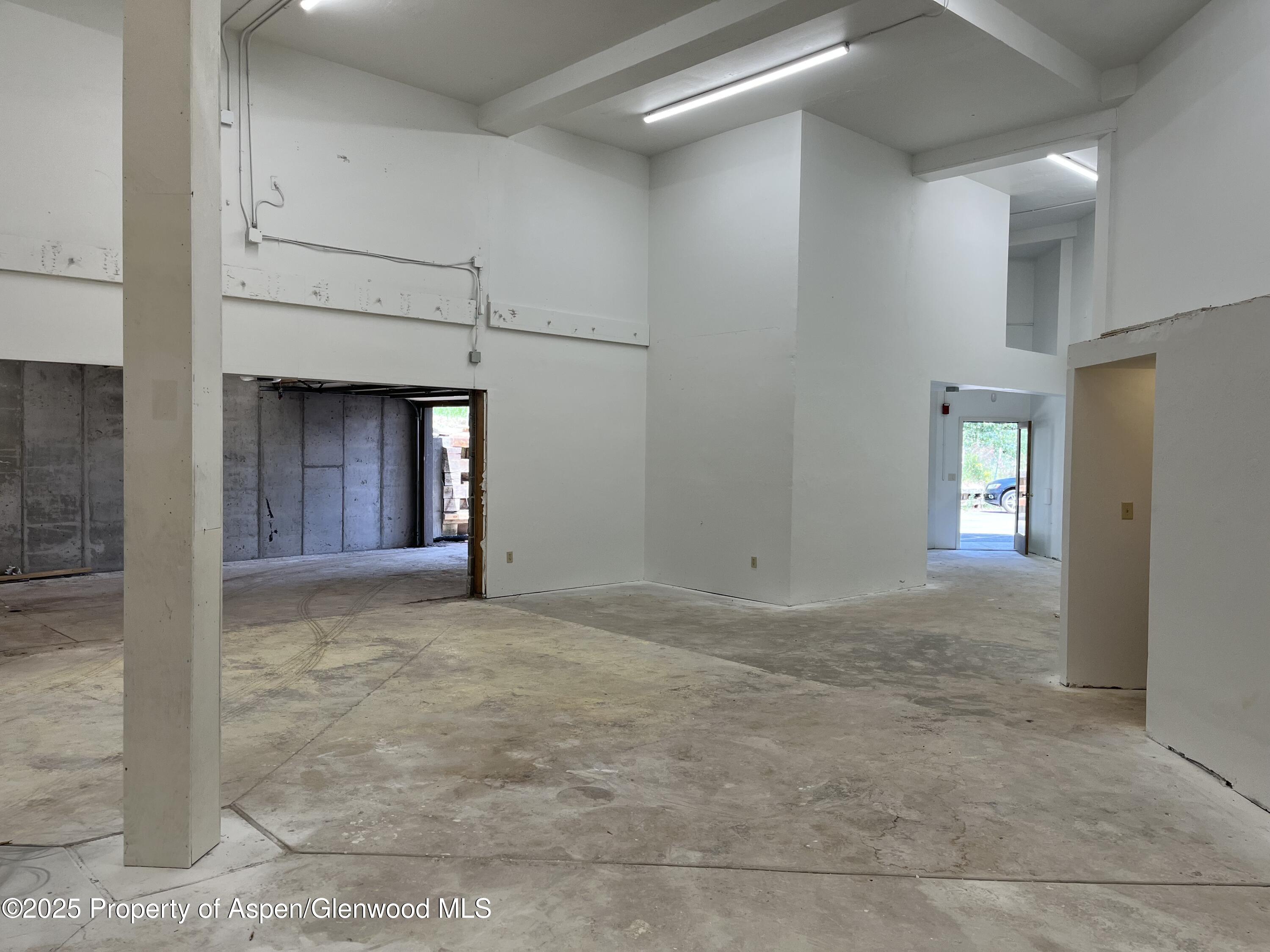 209 Ventnor Aspen CO 81611