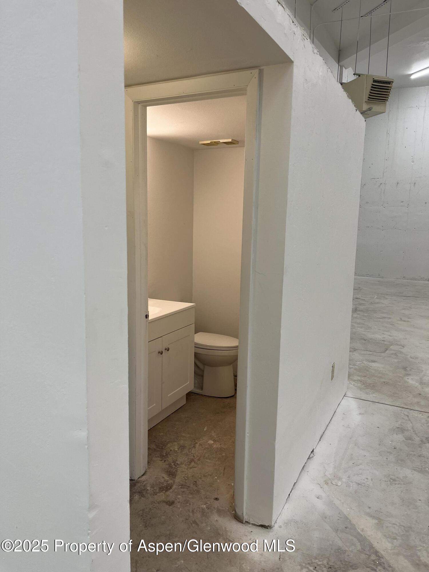 209 Ventnor Aspen CO 81611