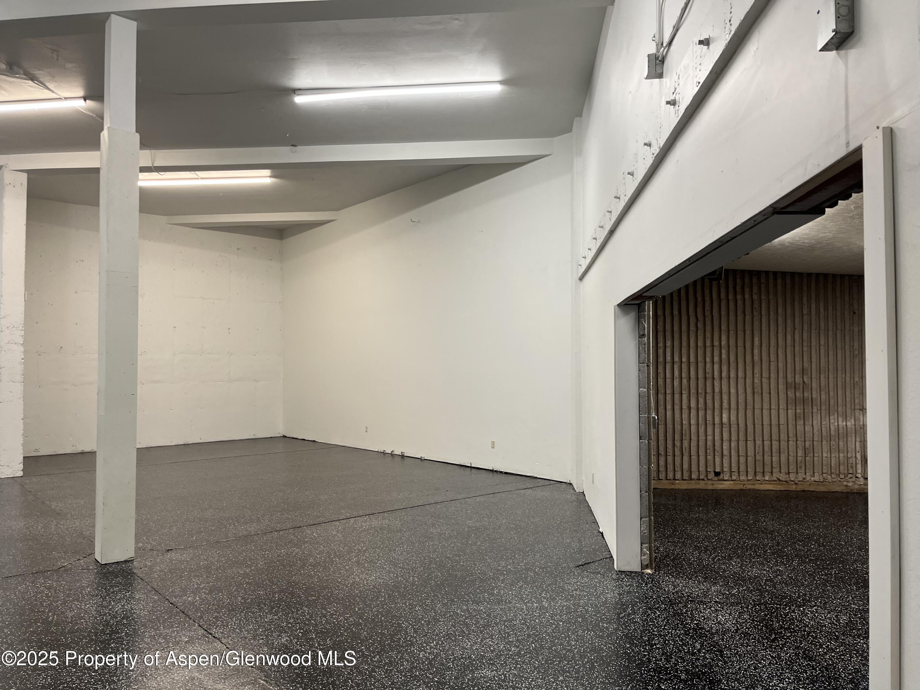 209 Ventnor Aspen CO 81611