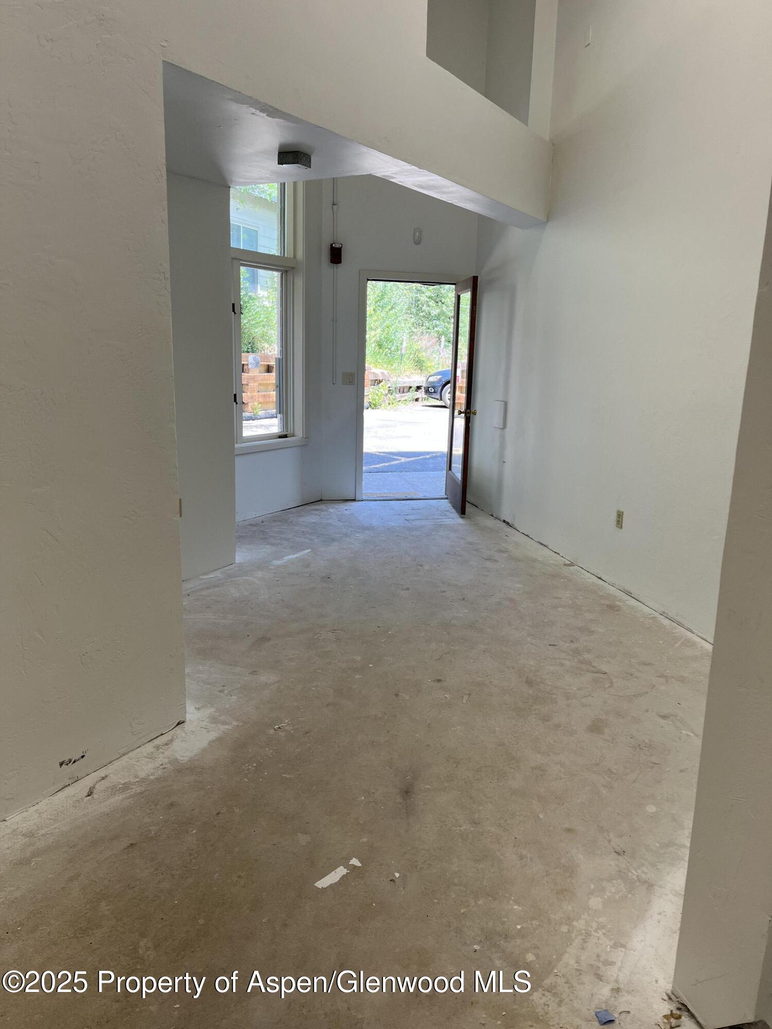 209 Ventnor Aspen CO 81611