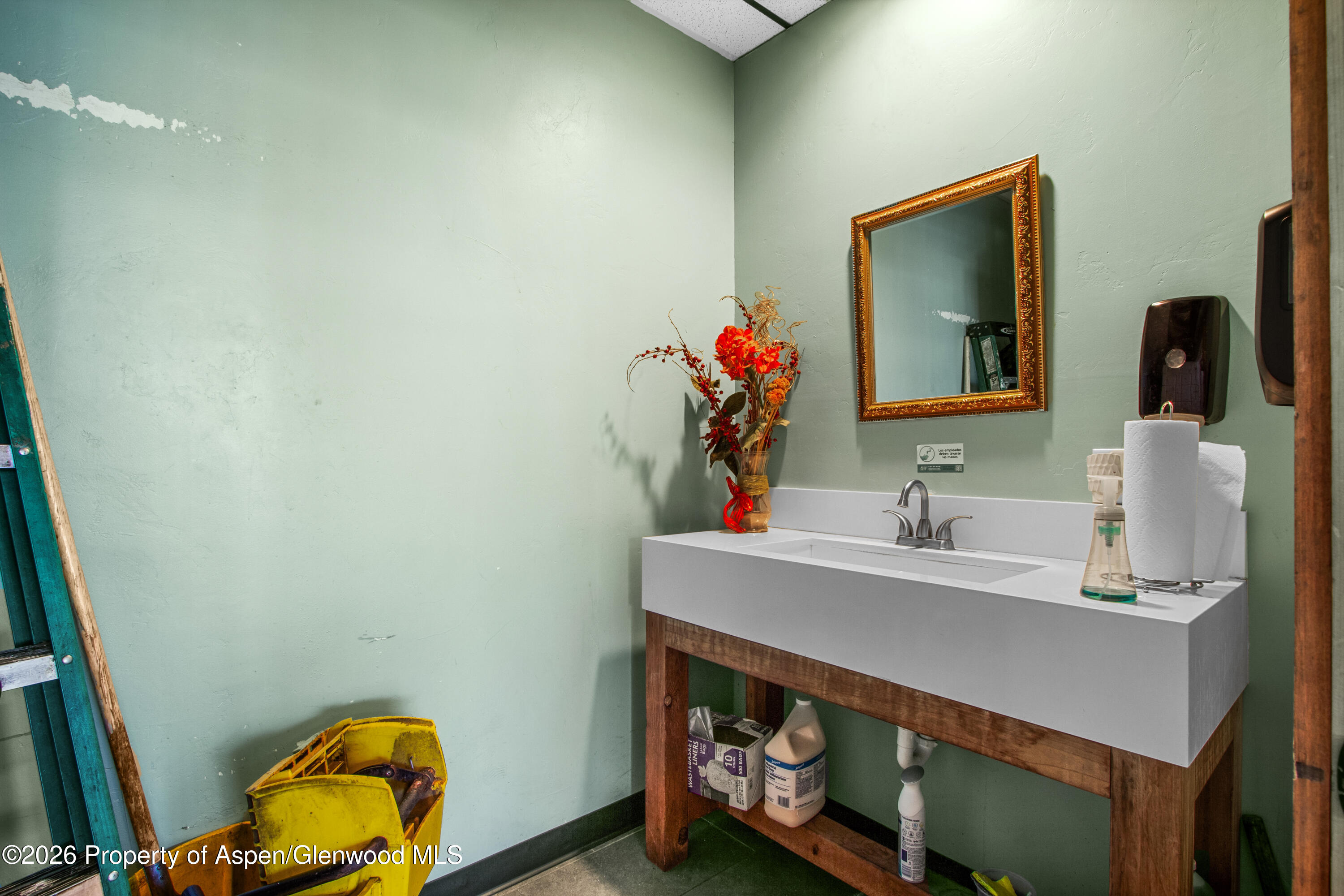 995 Cowen Drive Carbondale CO 81623