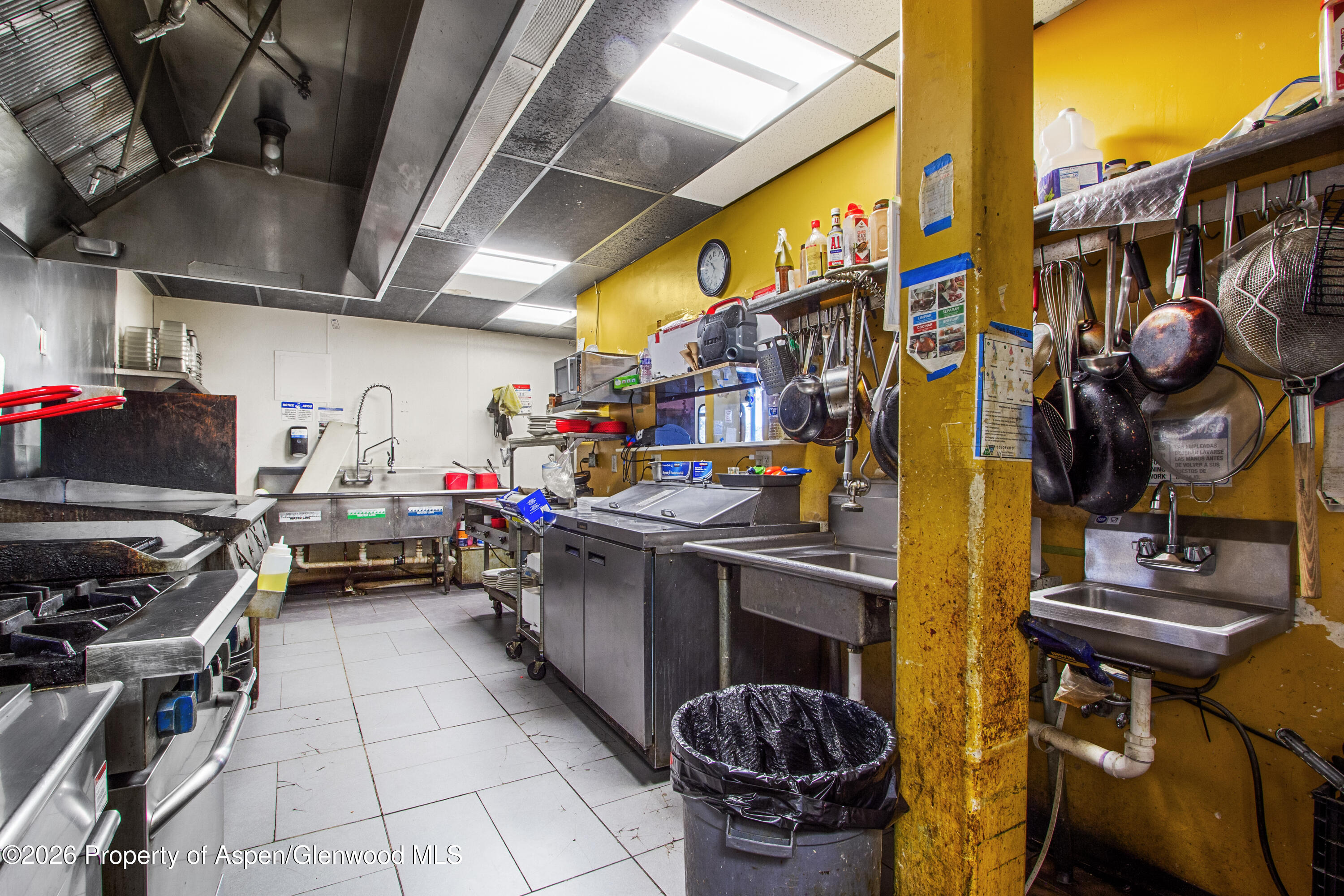 995 Cowen Drive Carbondale CO 81623