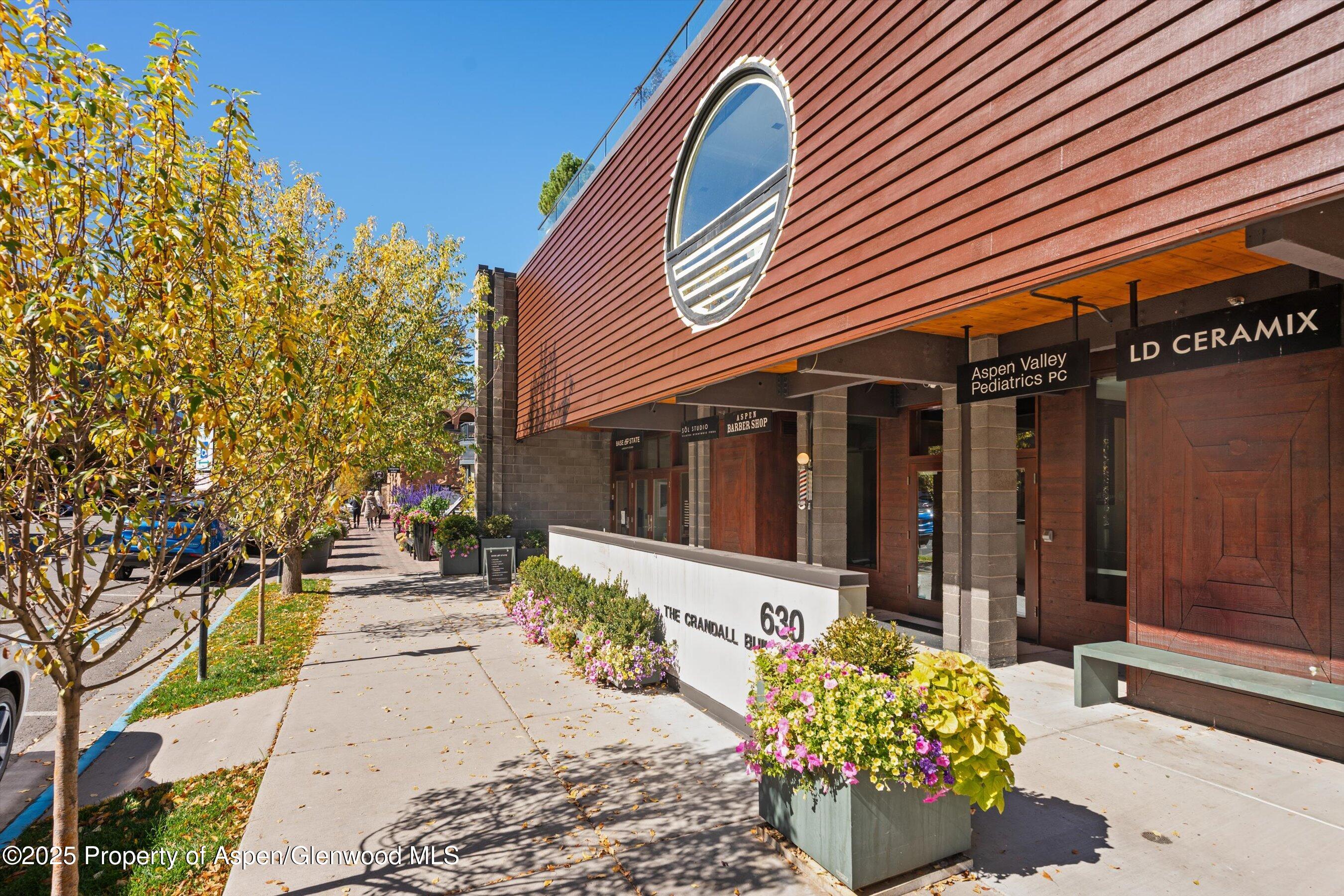 630 E Hyman Avenue Aspen CO 81611