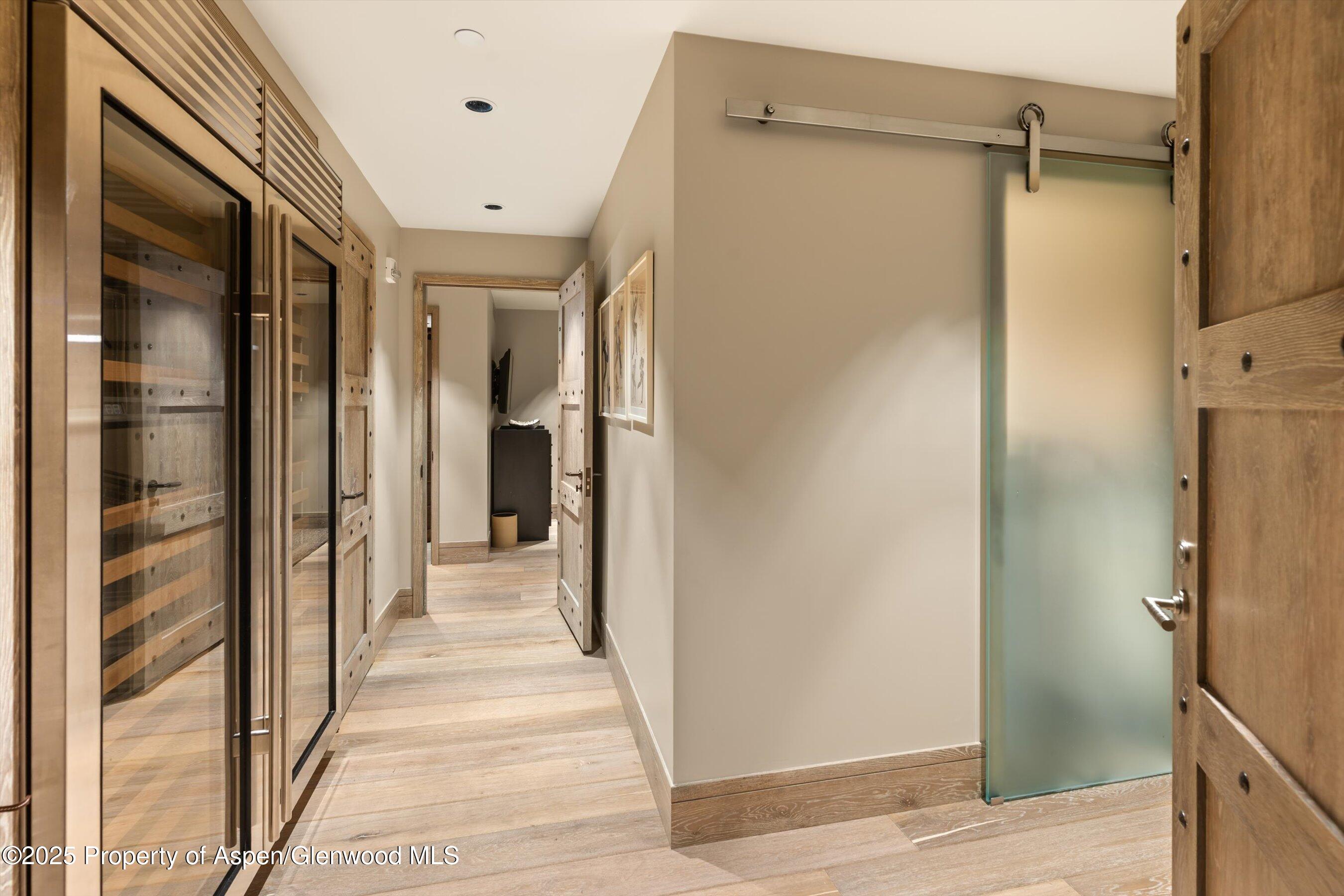 630 E Hyman Avenue Aspen CO 81611