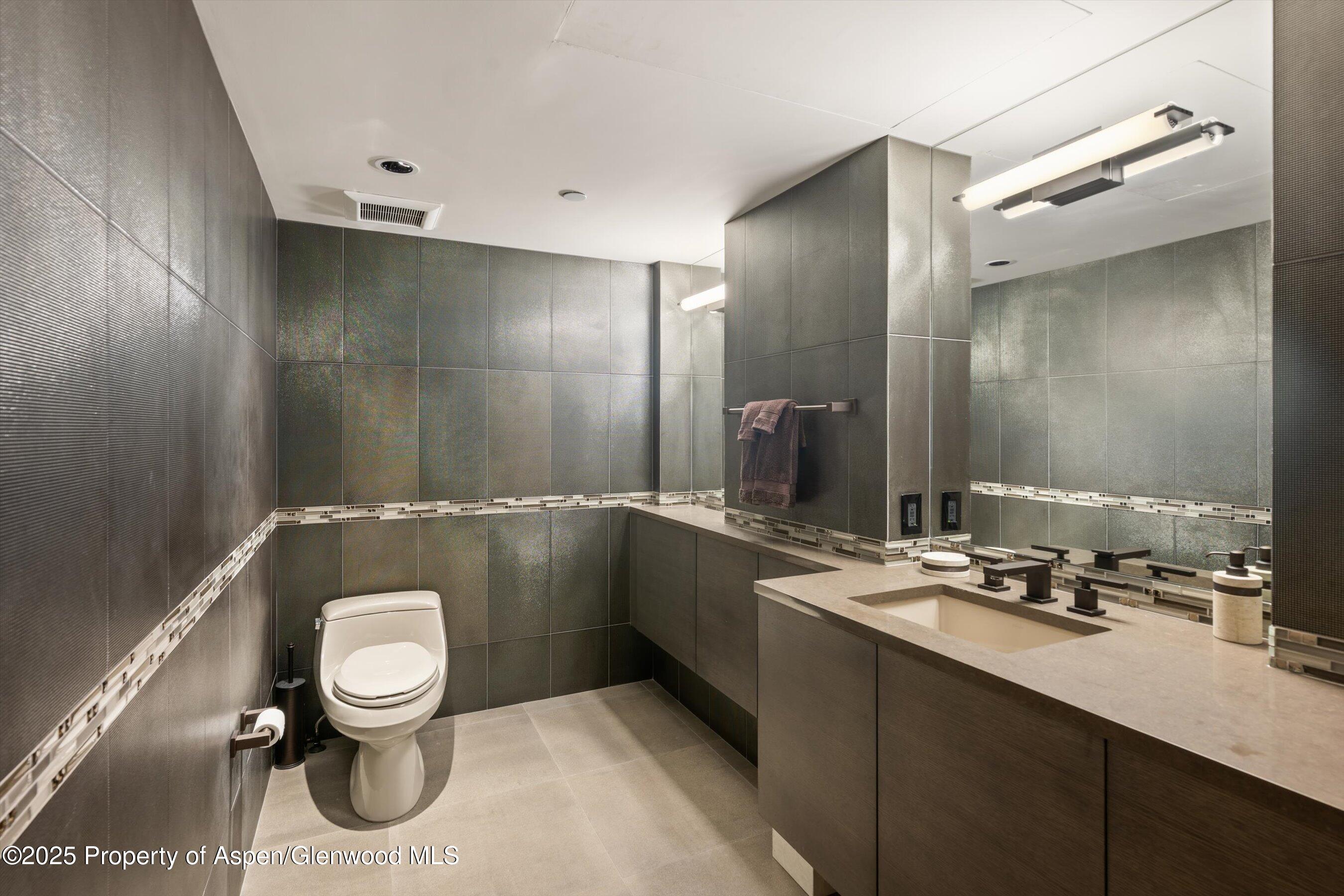 630 E Hyman Avenue Aspen CO 81611