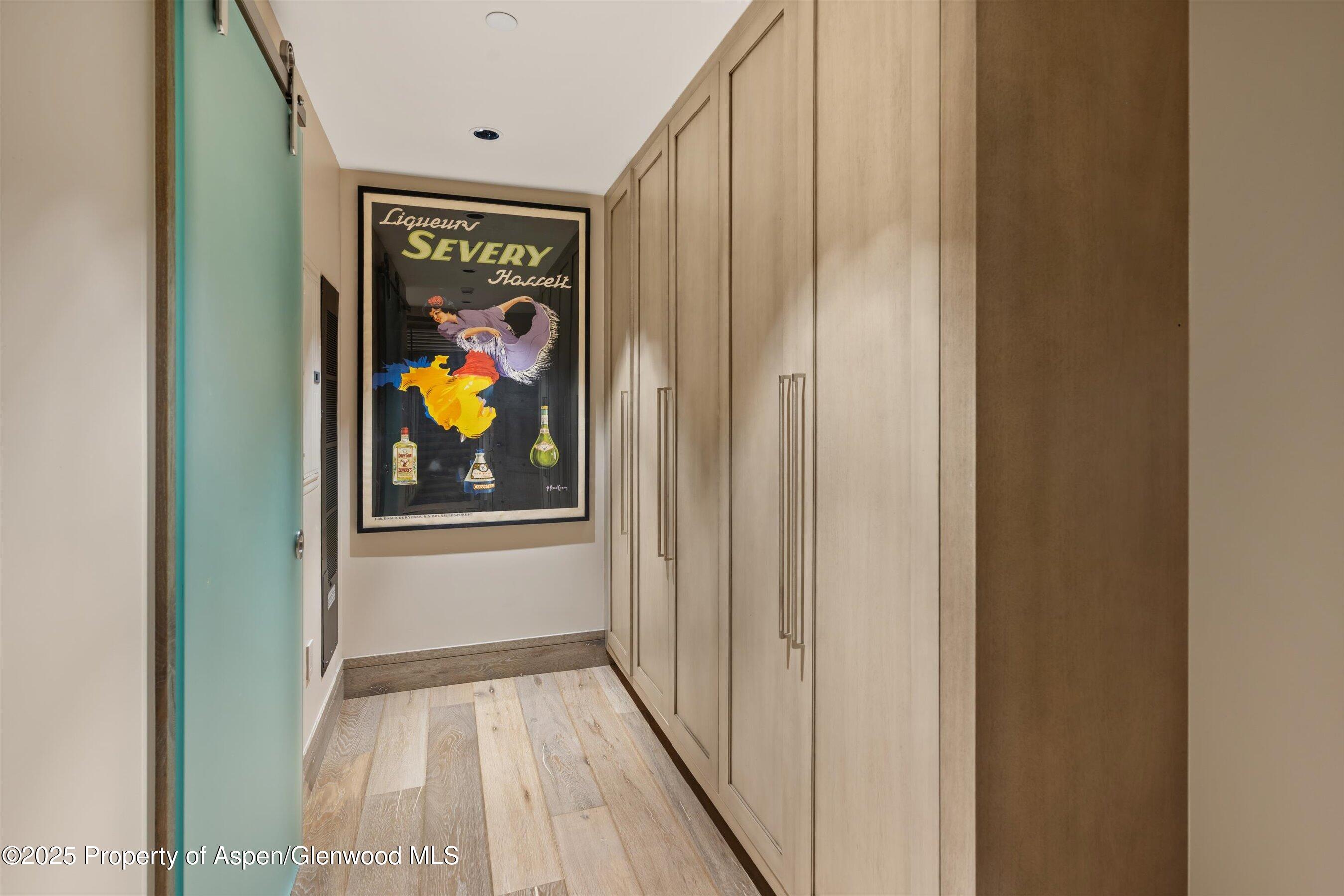 630 E Hyman Avenue Aspen CO 81611