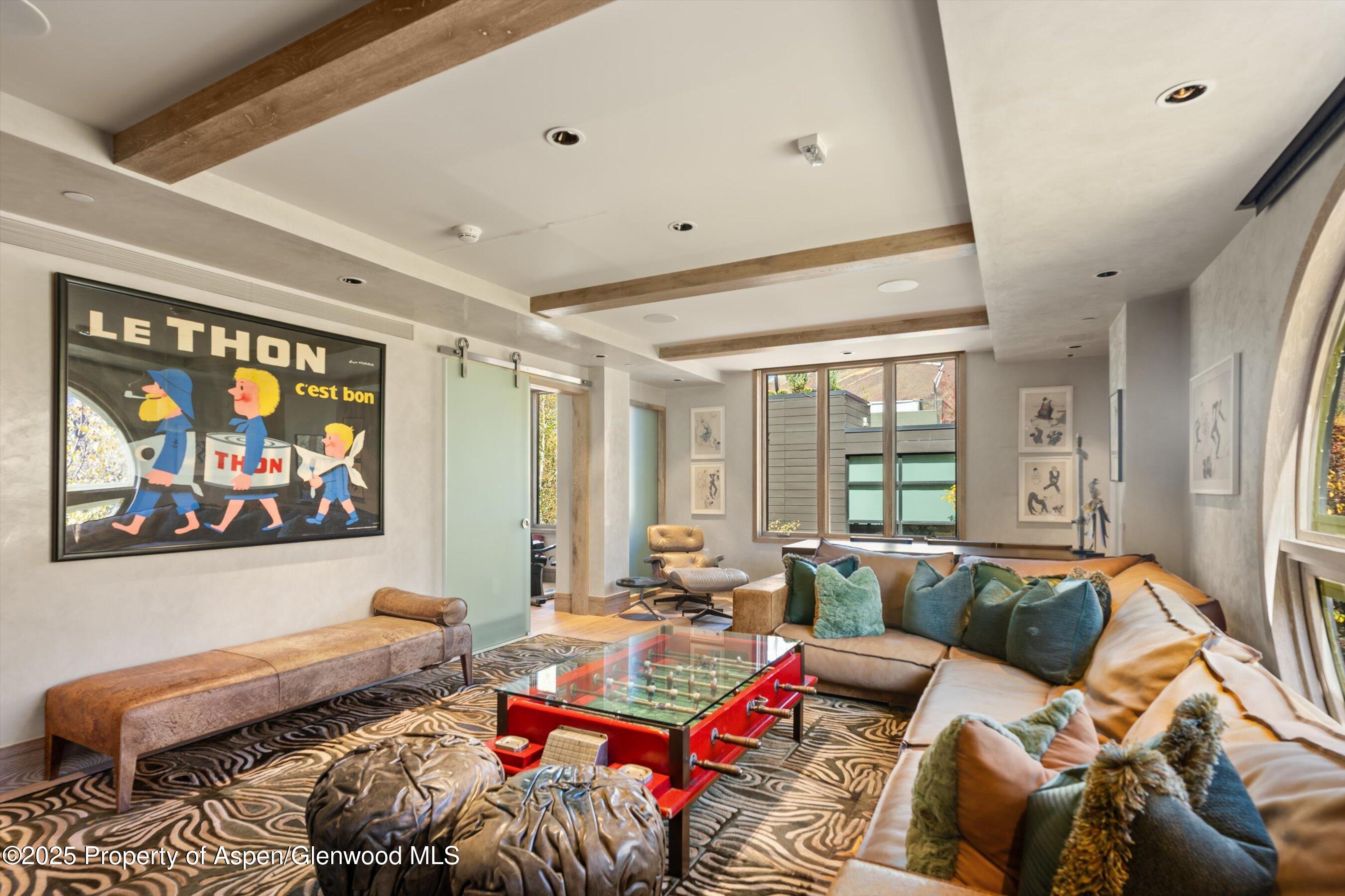 630 E Hyman Avenue Aspen CO 81611