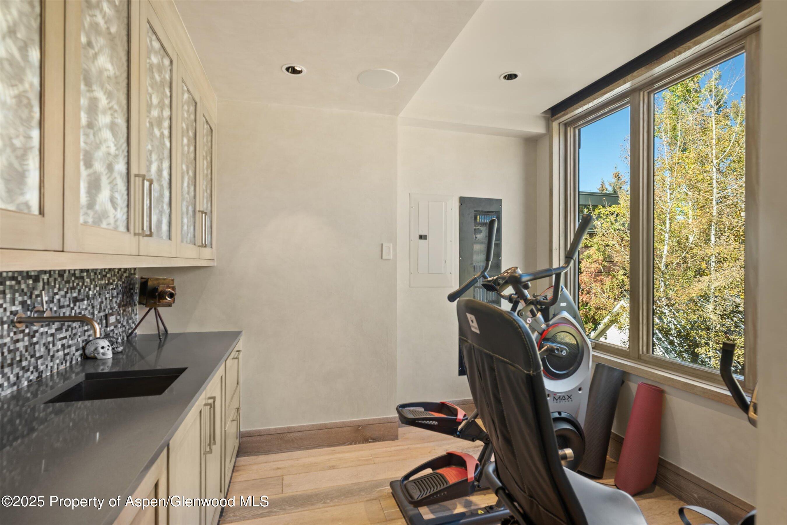 630 E Hyman Avenue Aspen CO 81611