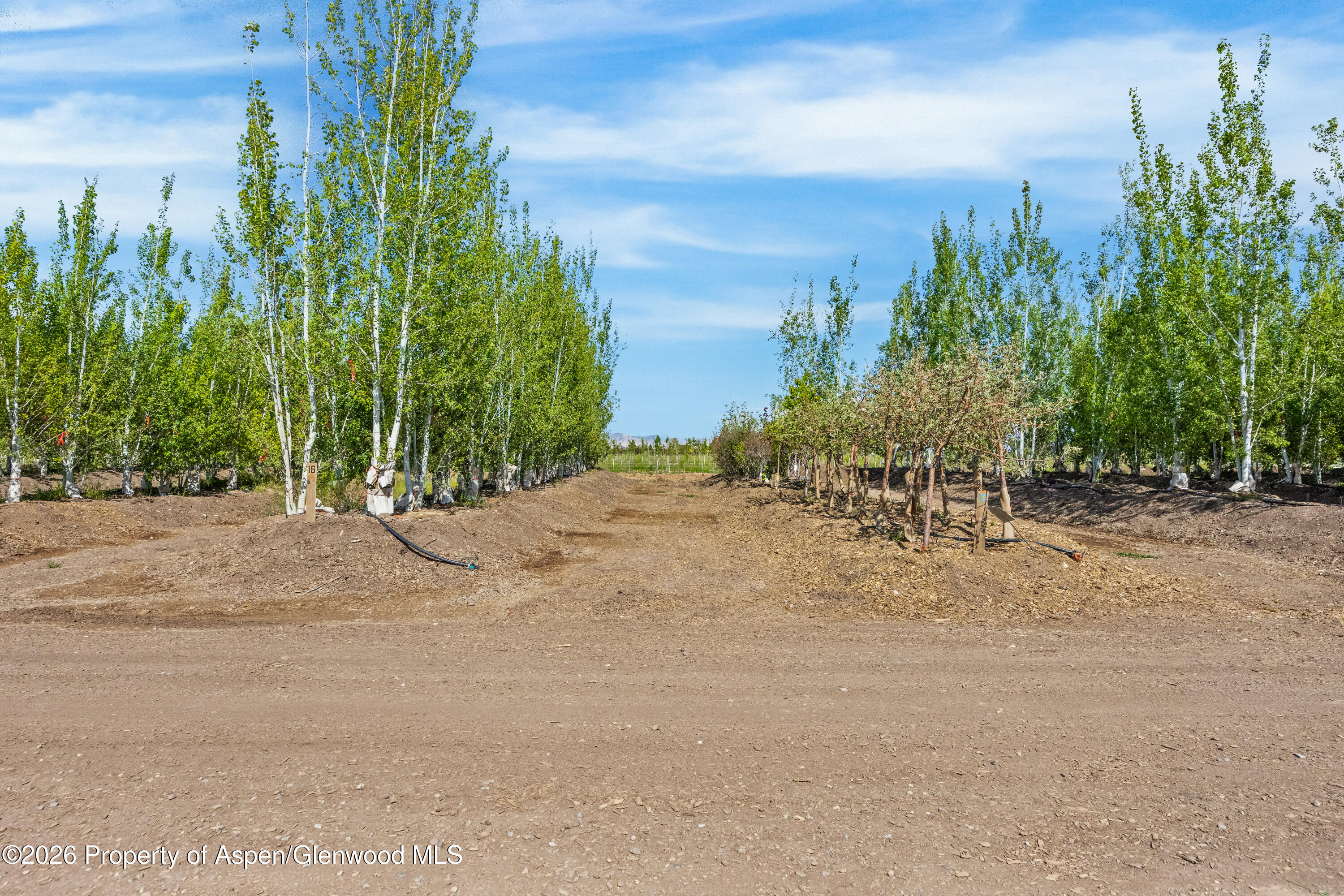 1701 10 Road Mack CO 81525