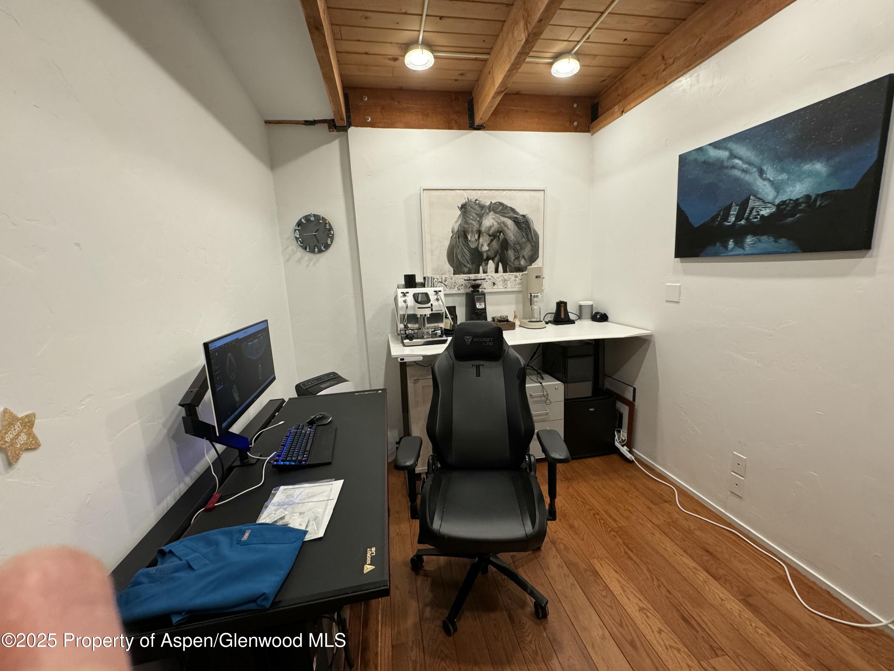 1280 Ute Avenue Aspen CO 81611