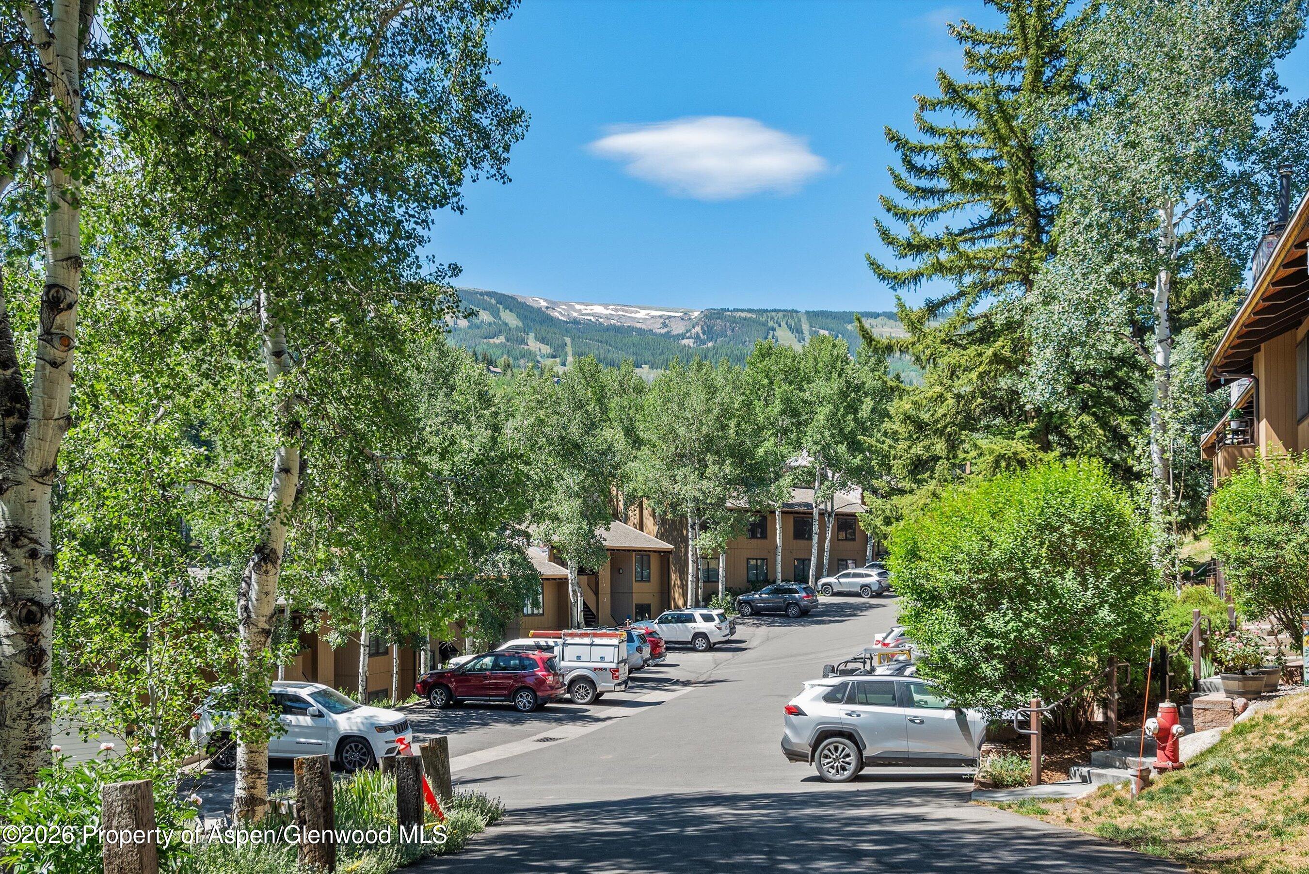 35 Lower Woodbridge Road Snowmass Village CO 81615