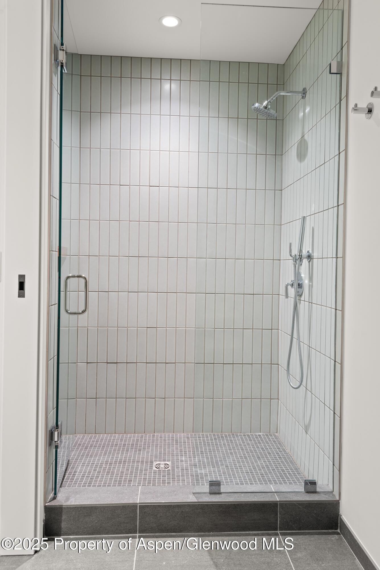 119 Wood Road Snowmass Village CO 81615