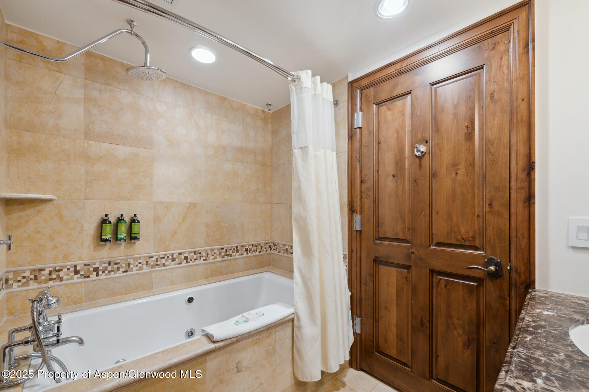 415 E Dean St, Unit 48, Week 8 Aspen CO 81611