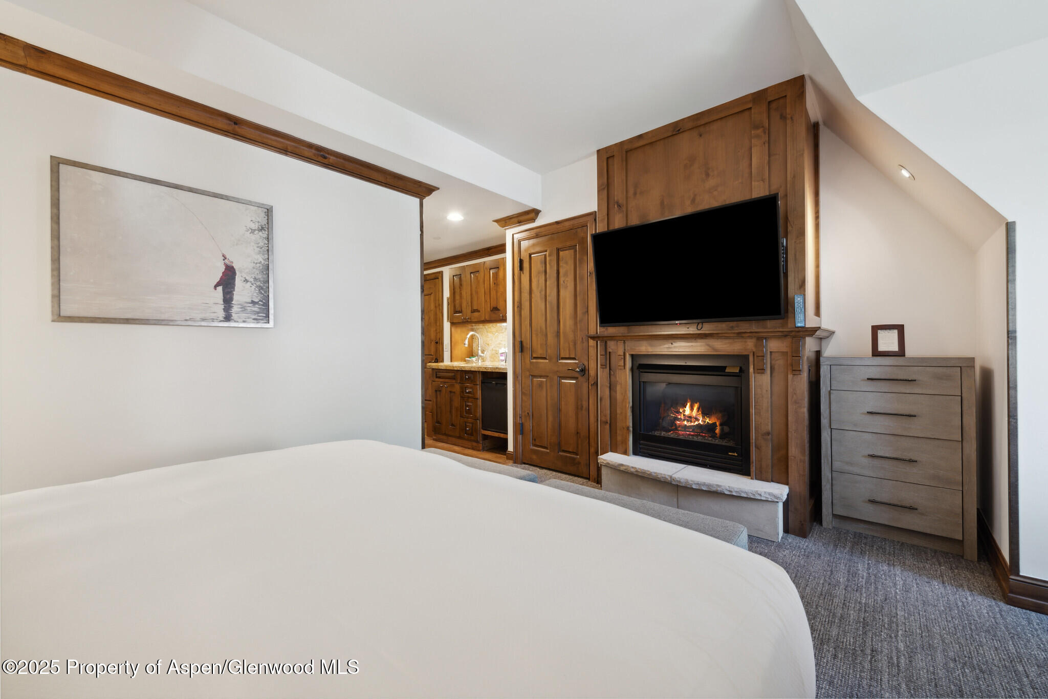 415 E Dean St, Unit 48, Week 8 Aspen CO 81611