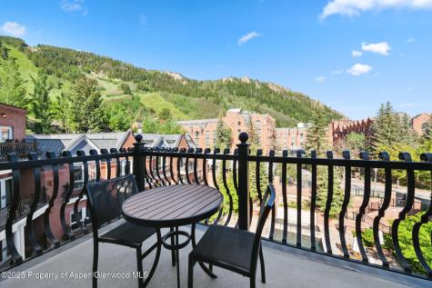 415 E Dean St, Unit 48, Week 8 Aspen CO 81611