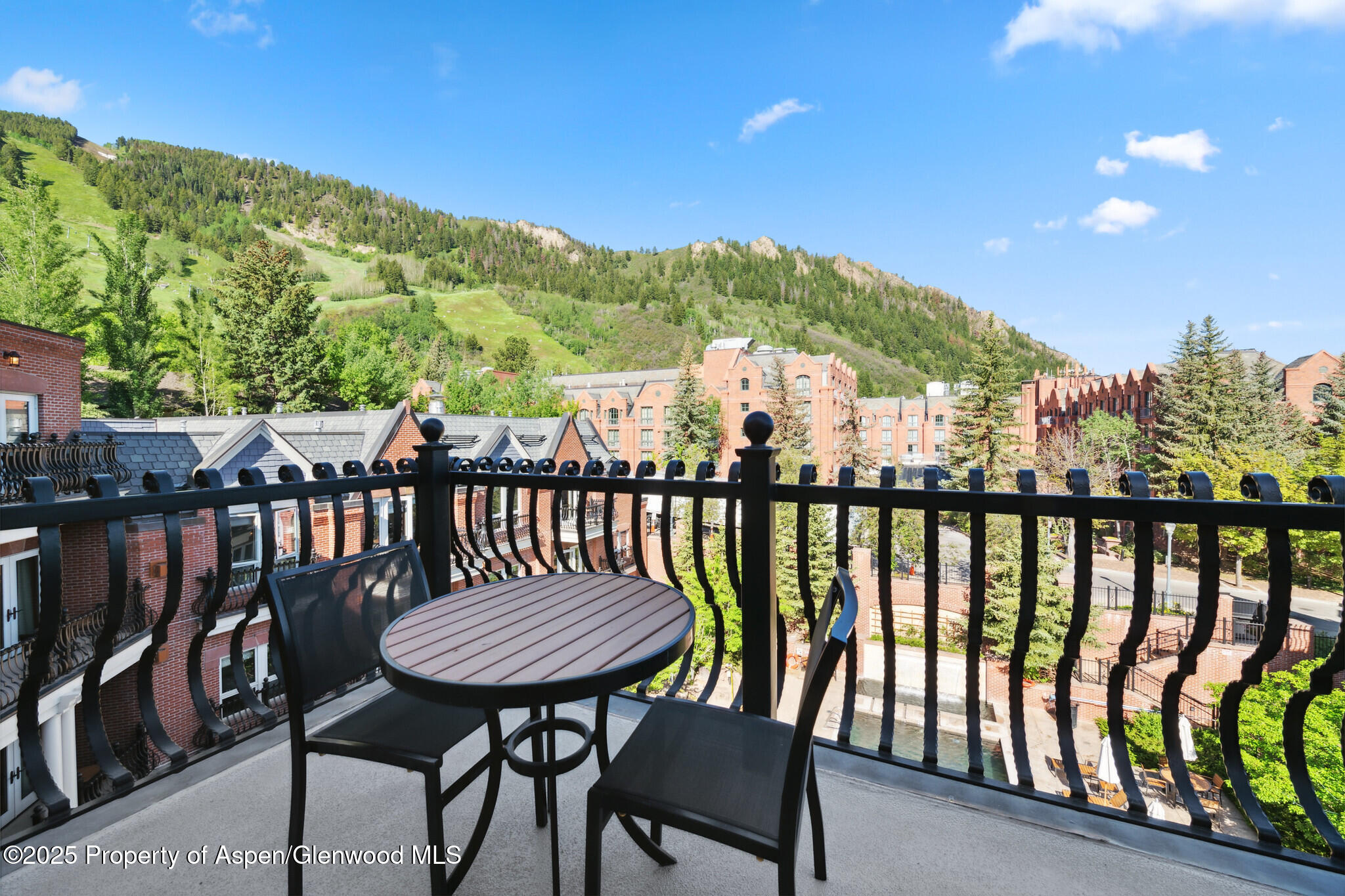 415 E Dean St, Unit 48, Week 8 Aspen CO 81611