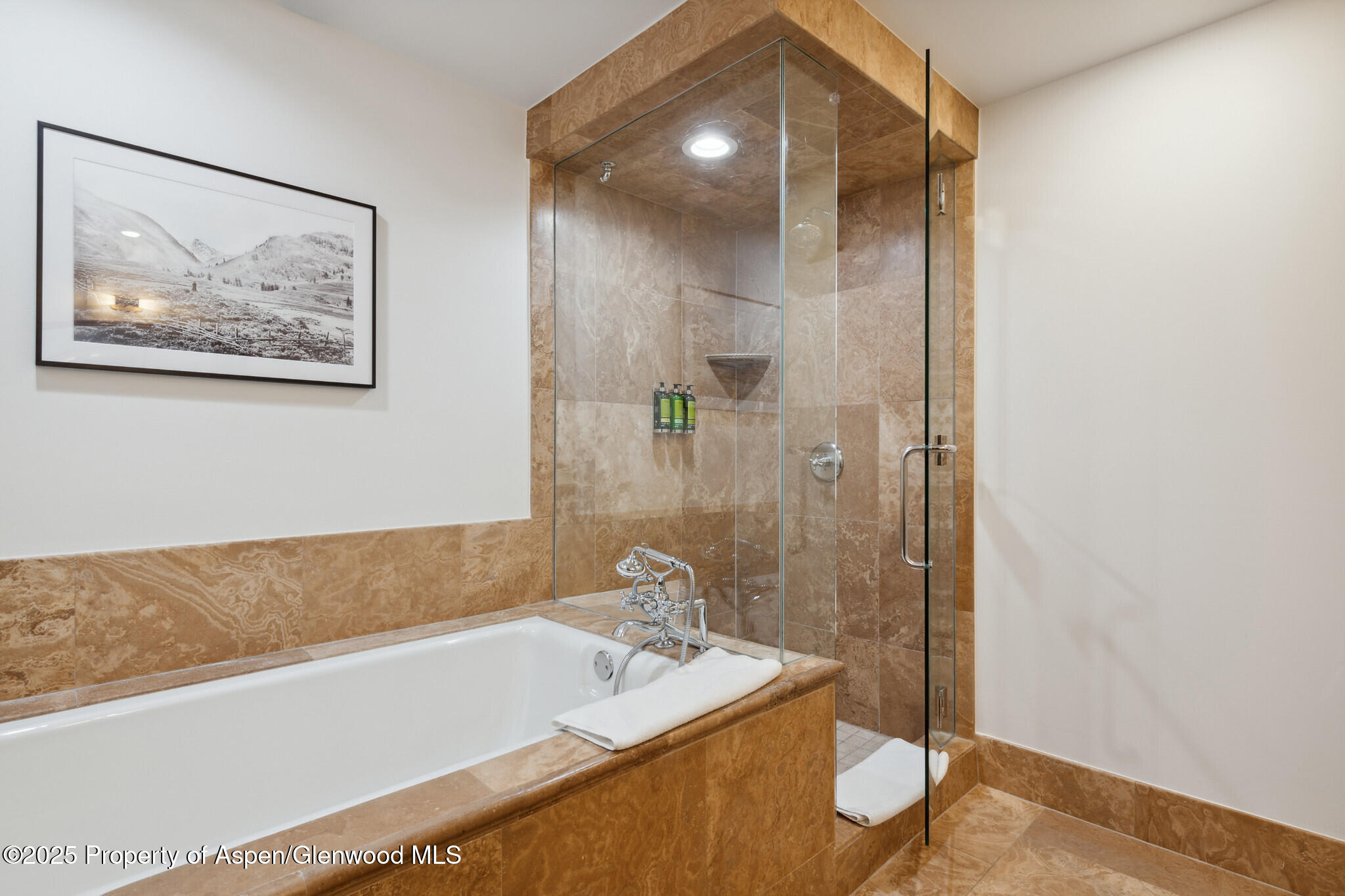 415 E Dean St, Unit 48, Week 8 Aspen CO 81611