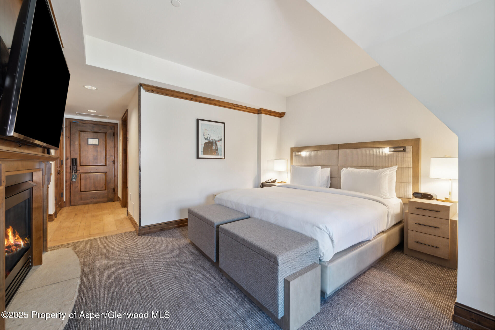 415 E Dean St, Unit 48, Week 8 Aspen CO 81611