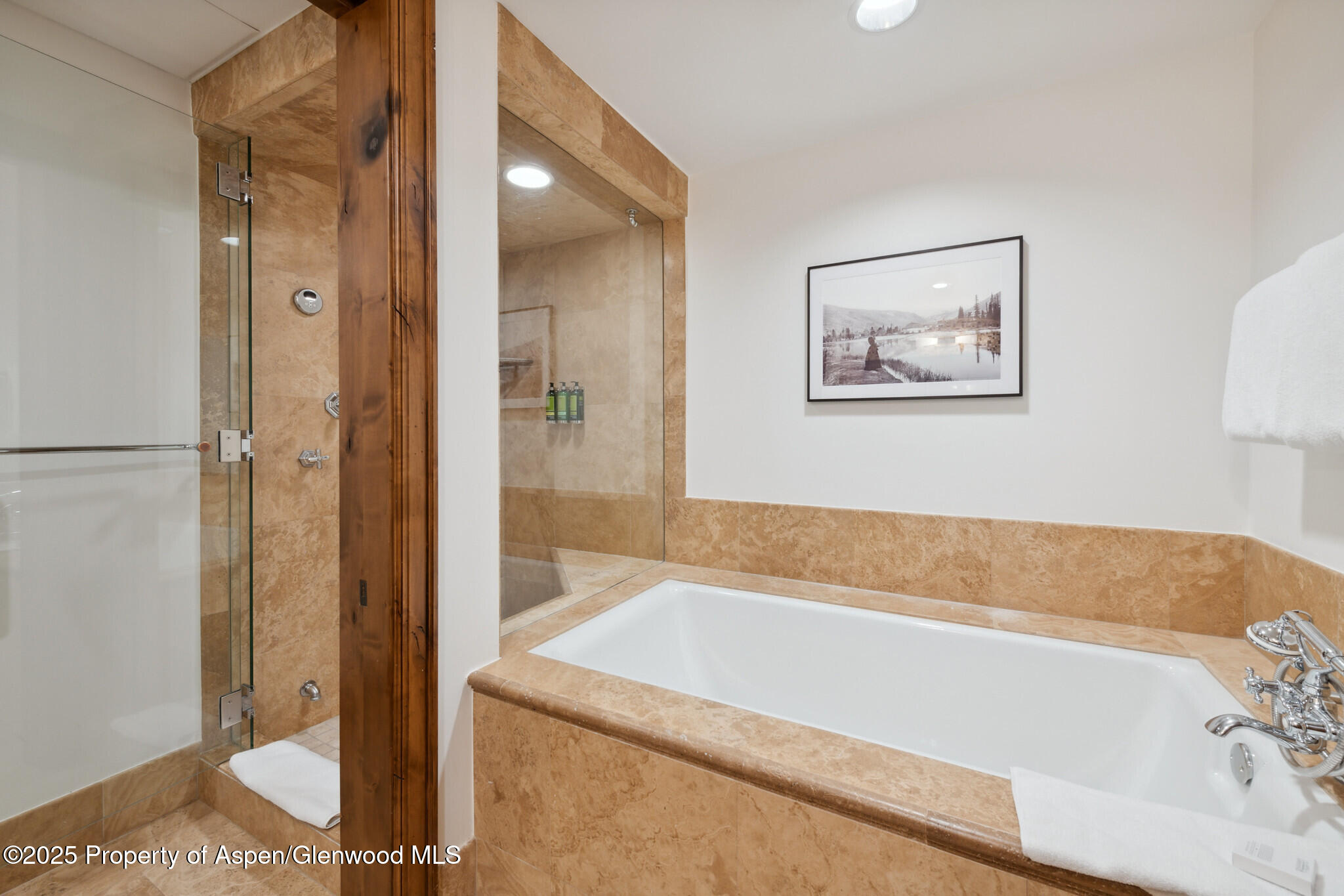 415 E Dean St, Unit 48, Week 8 Aspen CO 81611