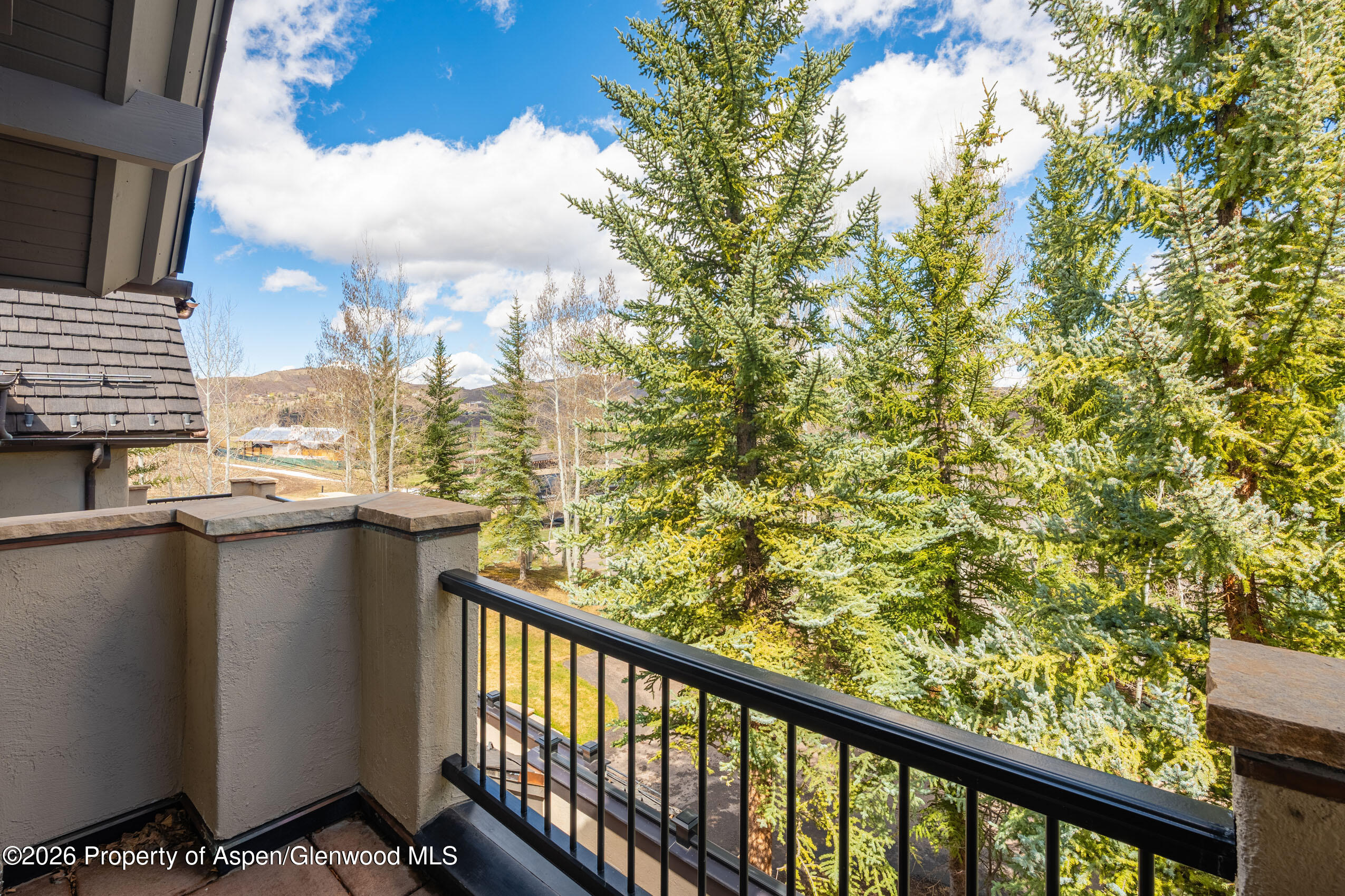 102 Burnt Mountain Drive Snowmass Village CO 81615