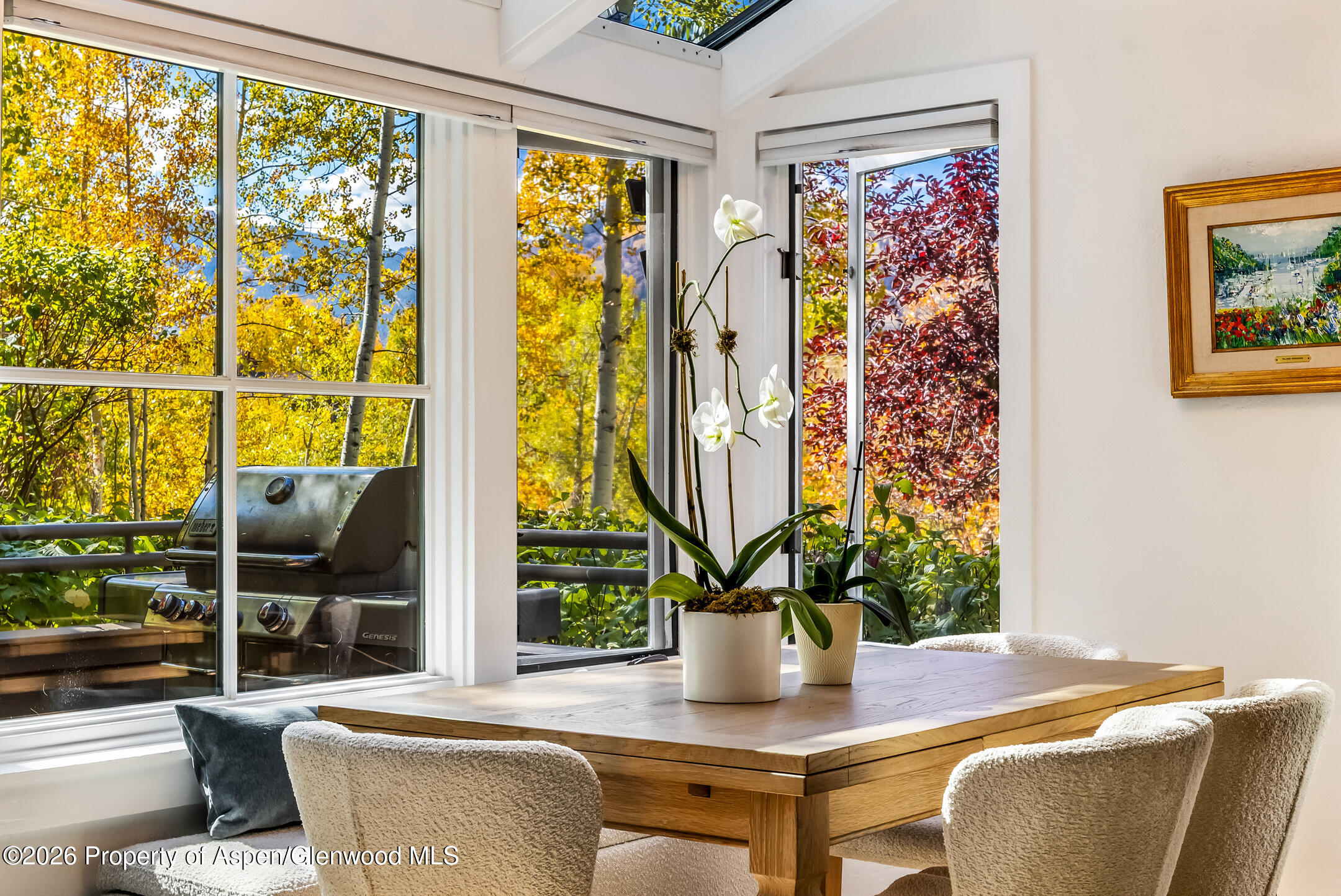 Aspen CO, 100 N 8th Street, Unit 19