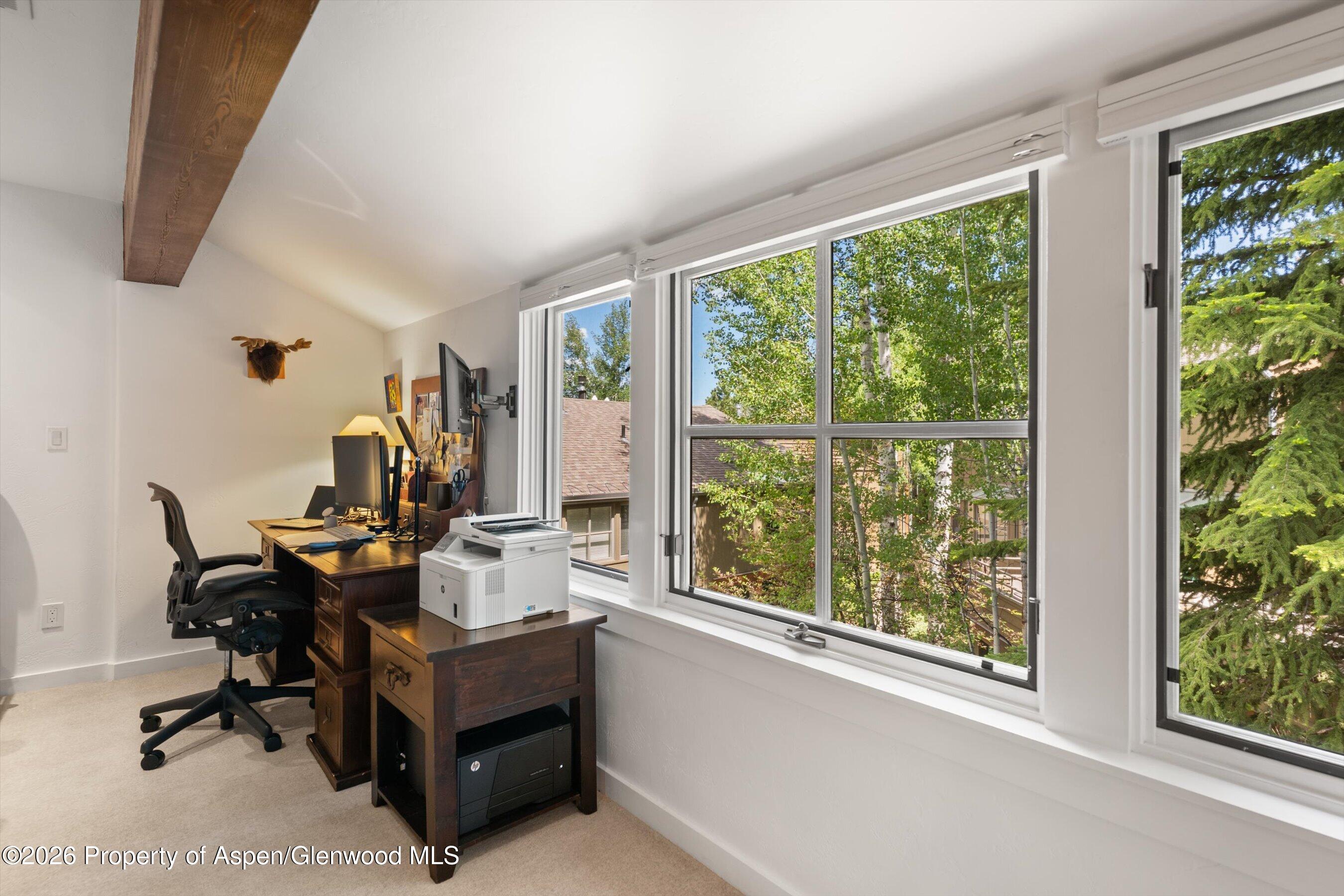 100 N 8th Street Aspen CO 81611