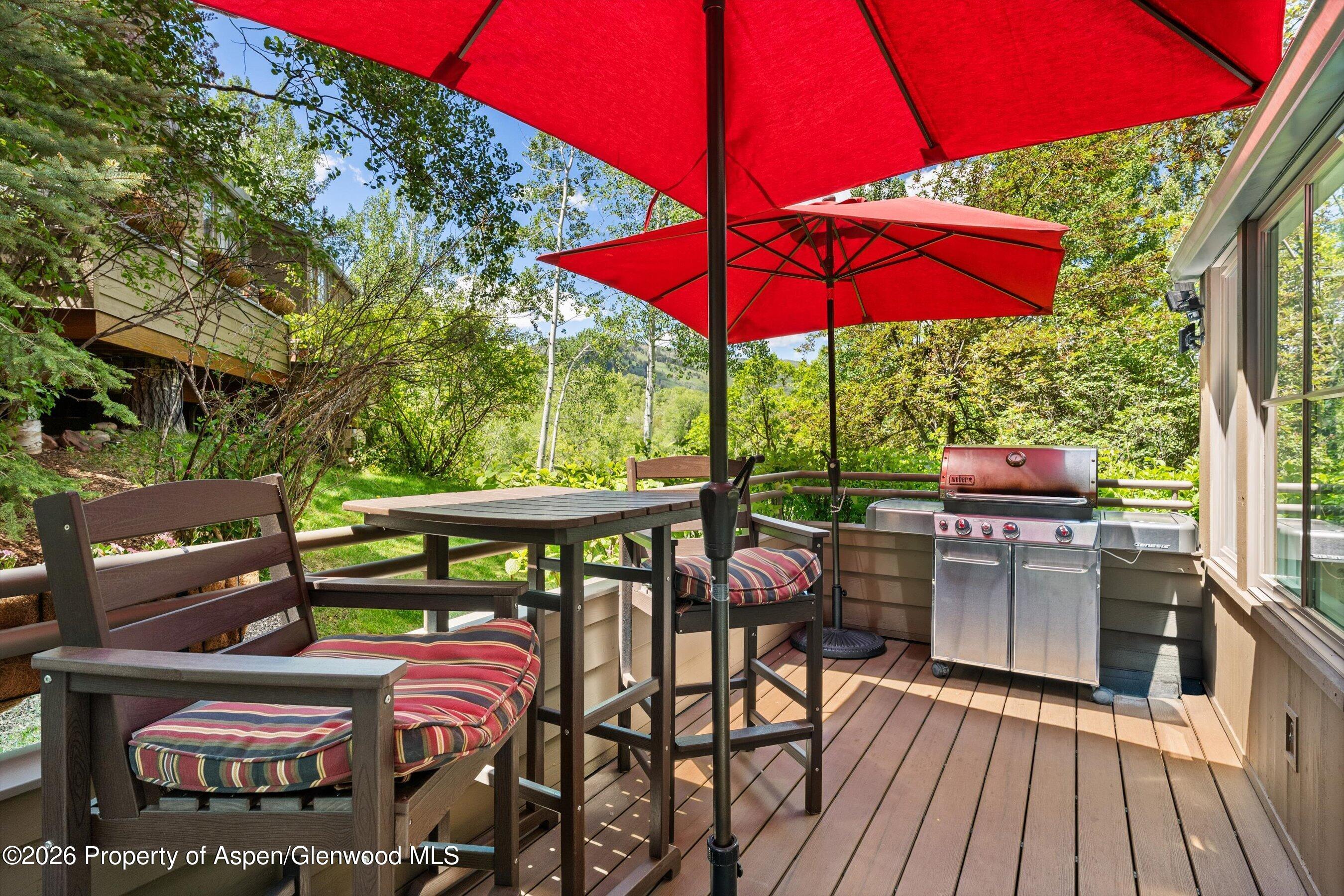 100 N 8th Street Aspen CO 81611