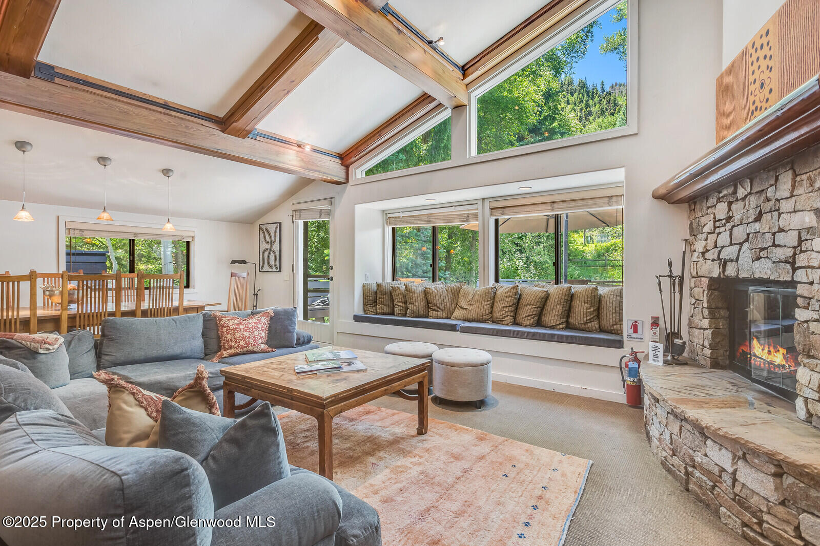 851 Ute Avenue Aspen CO 81611