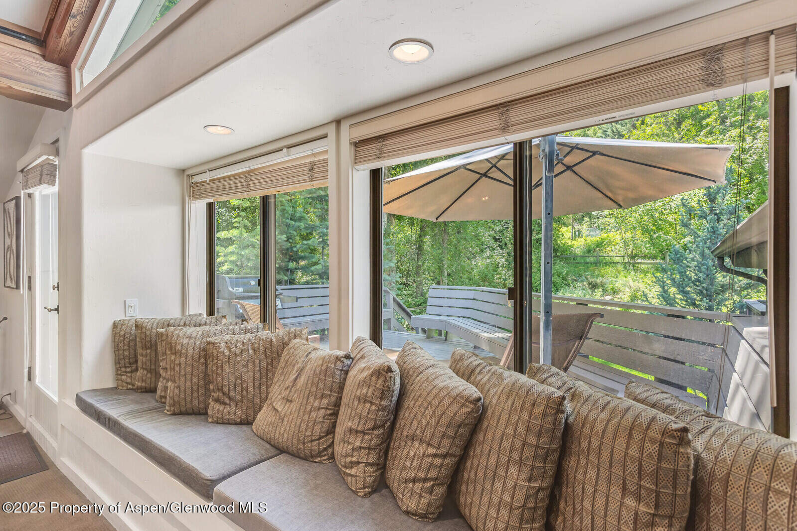 851 Ute Avenue Aspen CO 81611