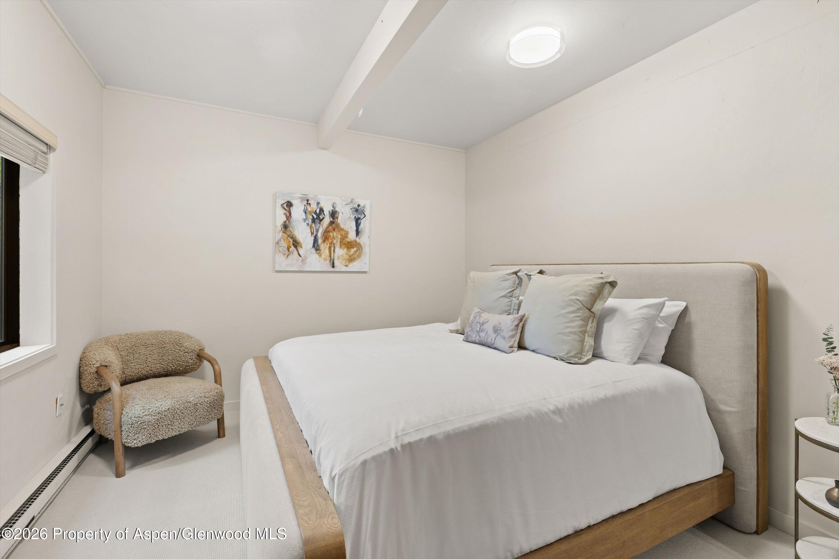 851 Ute Avenue Aspen CO 81611