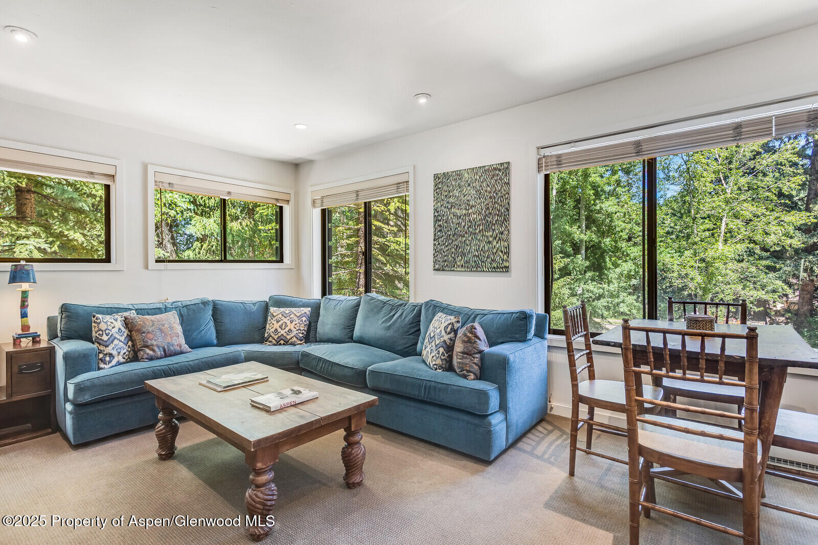 851 Ute Avenue Aspen CO 81611