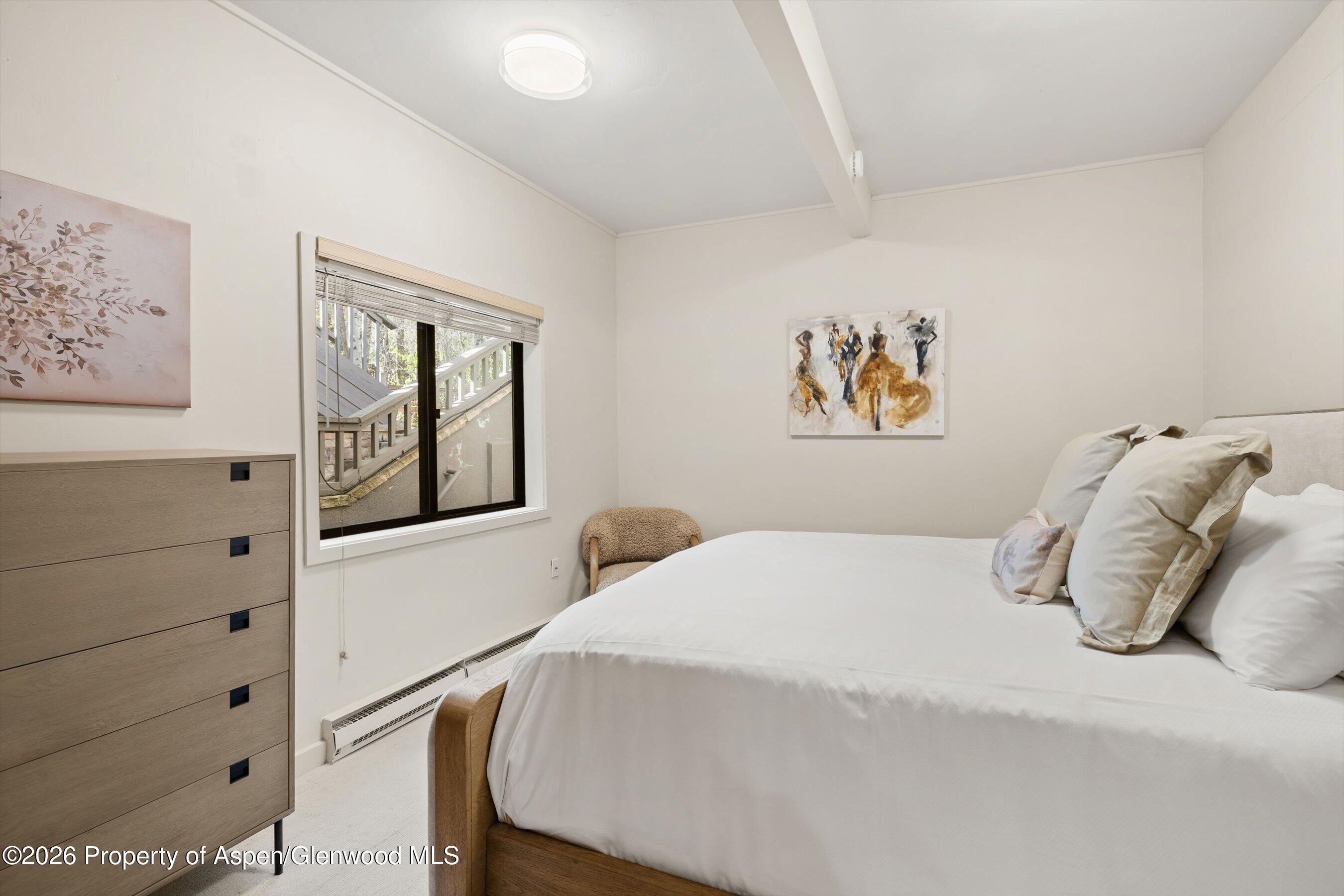 851 Ute Avenue Aspen CO 81611