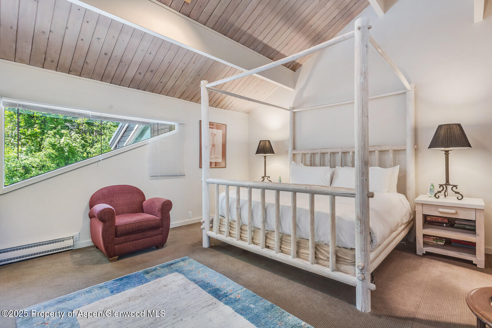 851 Ute Avenue Aspen CO 81611