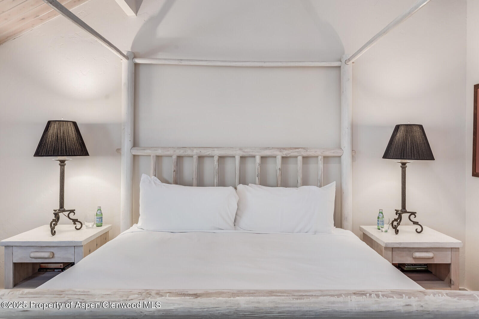 851 Ute Avenue Aspen CO 81611