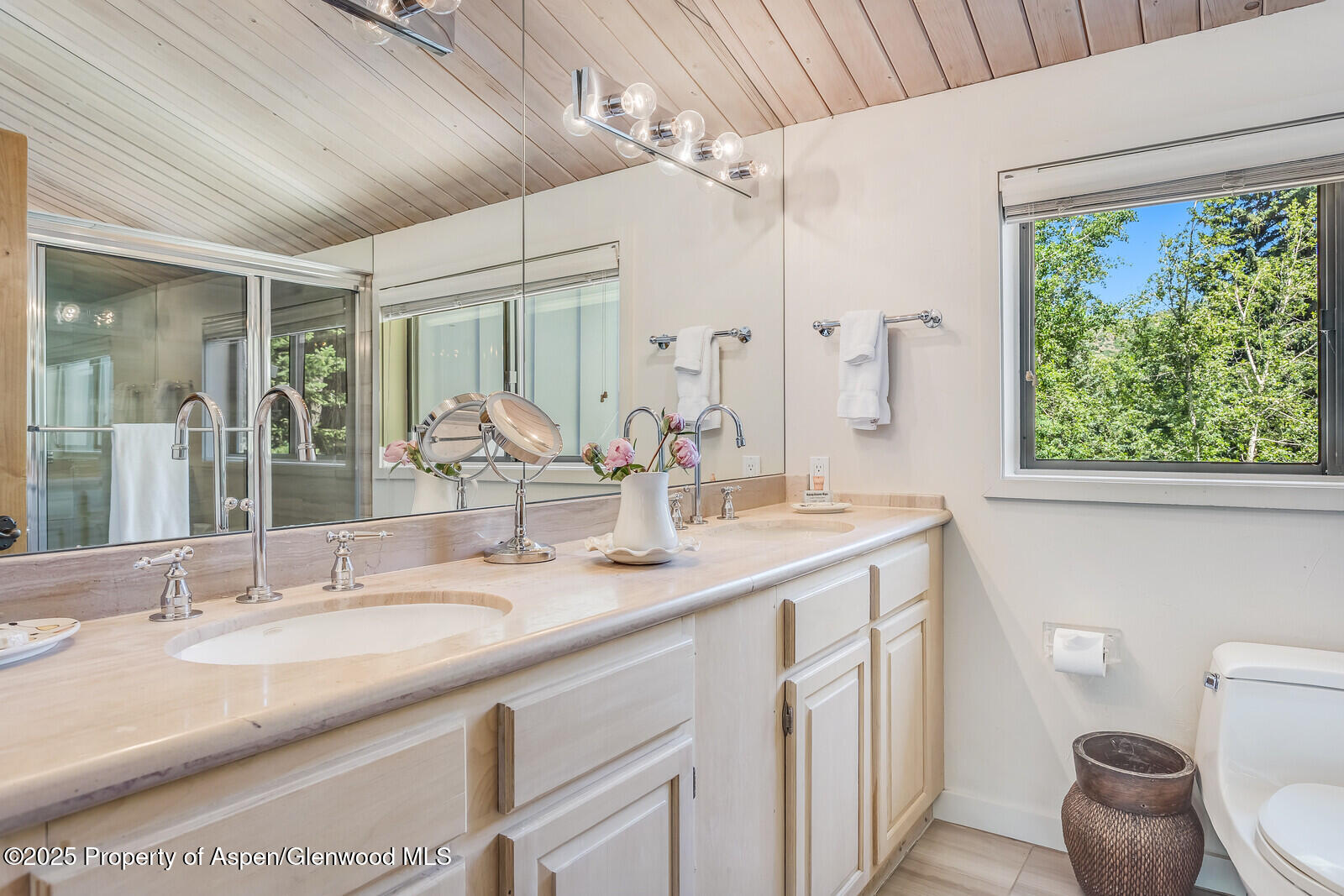 851 Ute Avenue Aspen CO 81611