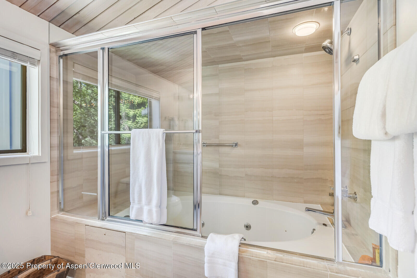 851 Ute Avenue Aspen CO 81611