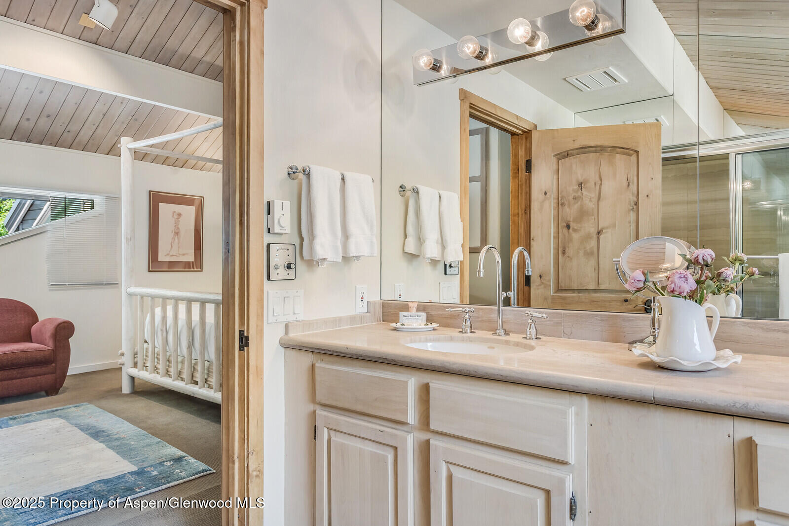 851 Ute Avenue Aspen CO 81611