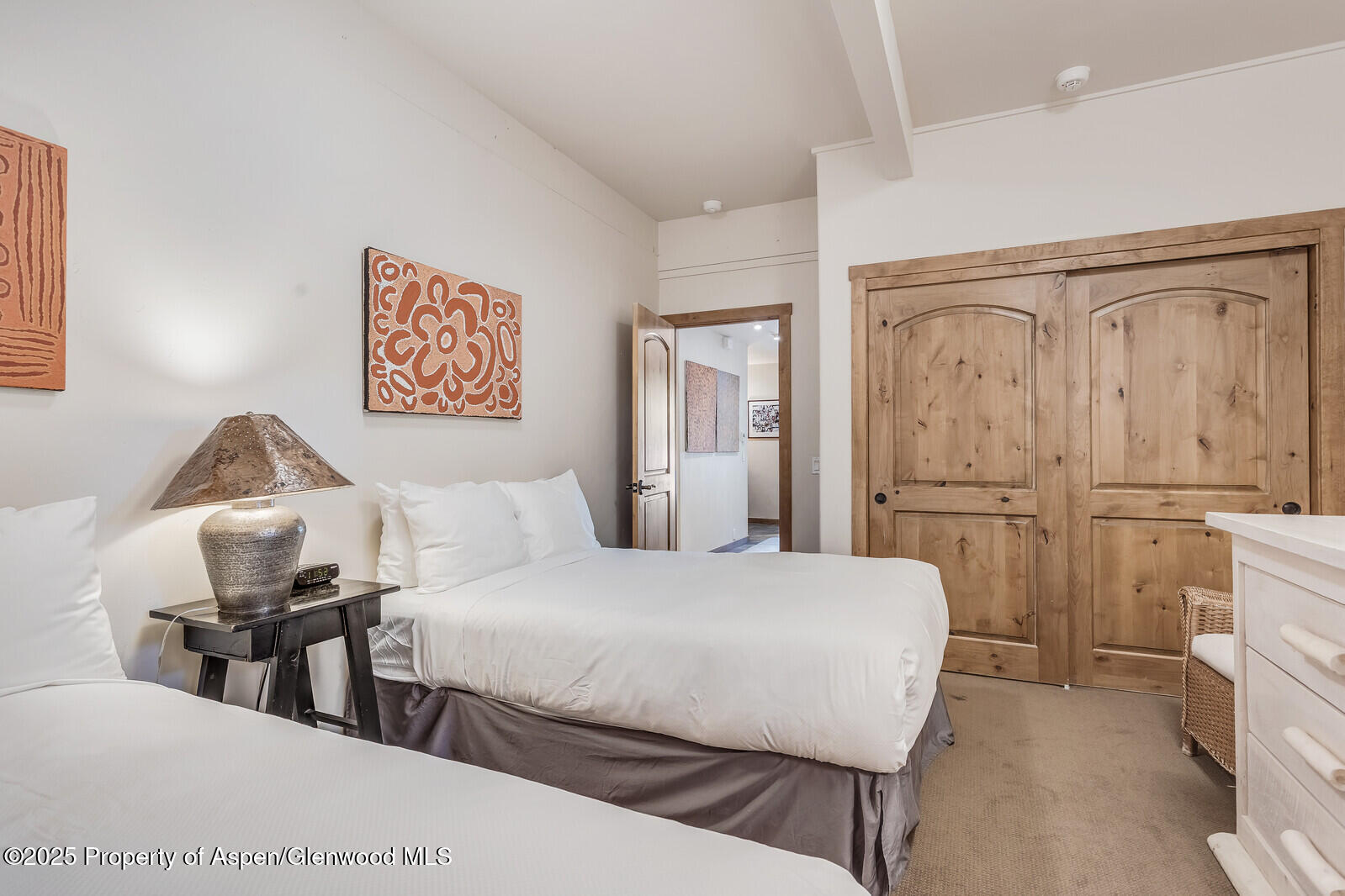 851 Ute Avenue Aspen CO 81611